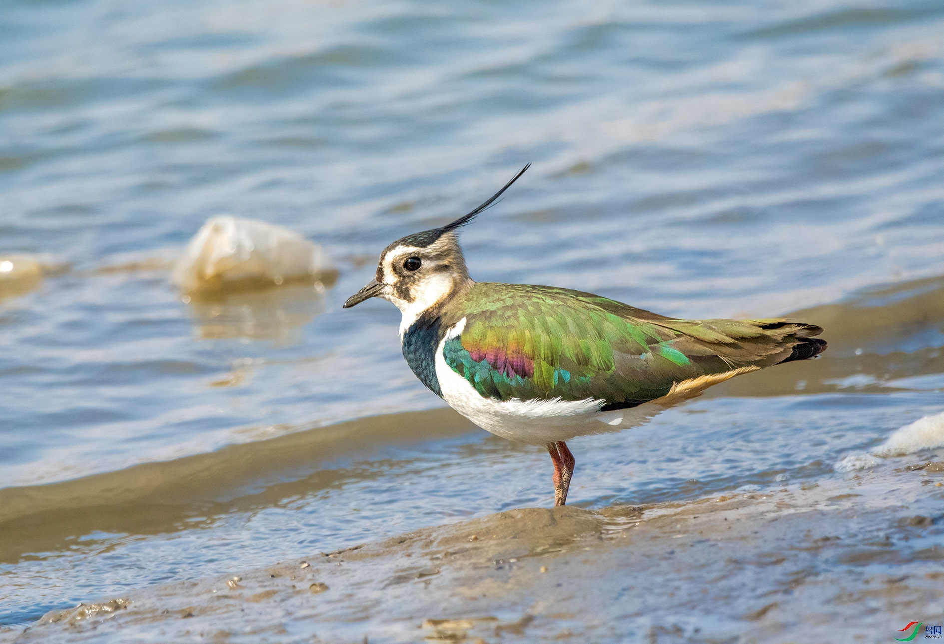 DSC_9179_��ͼ�� ����.jpg