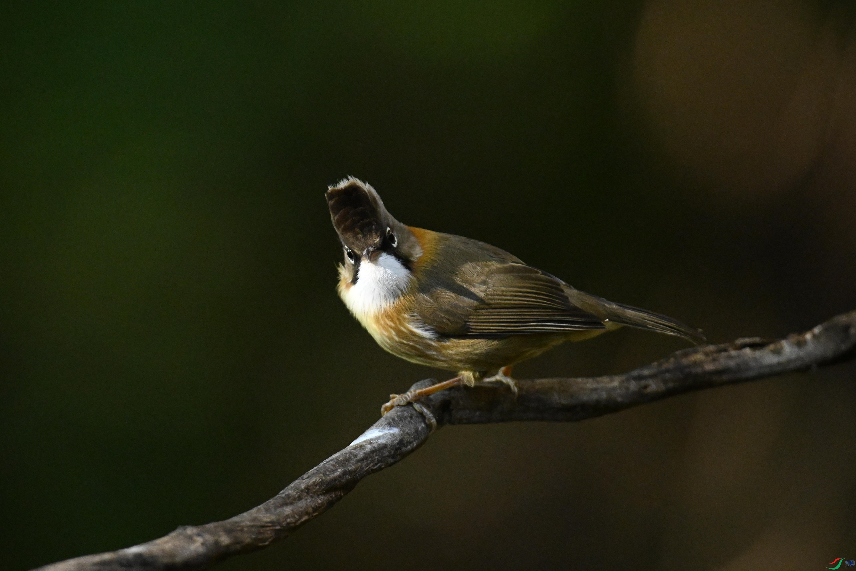 ���� (1).jpg