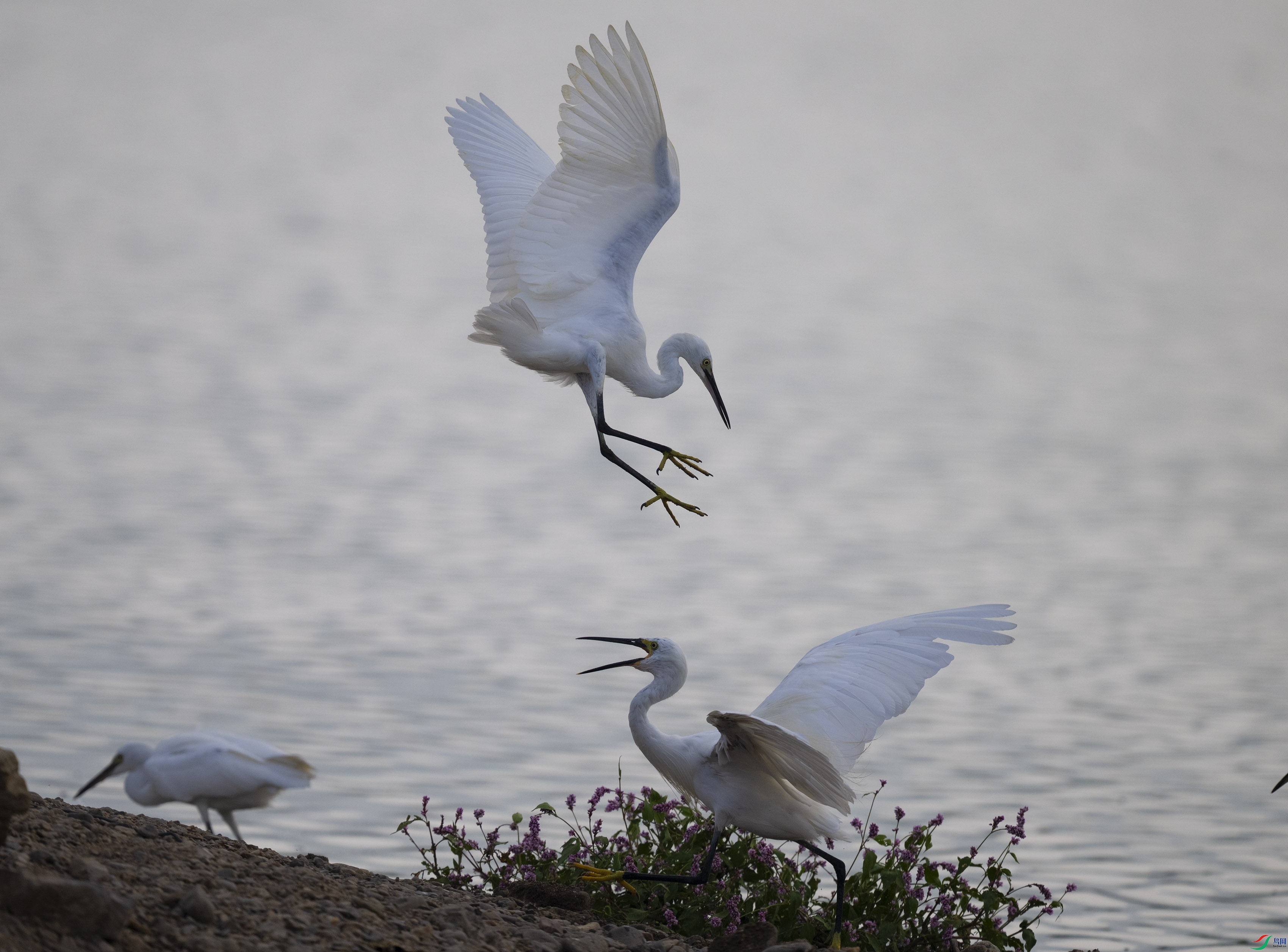 DSC_6989.jpg