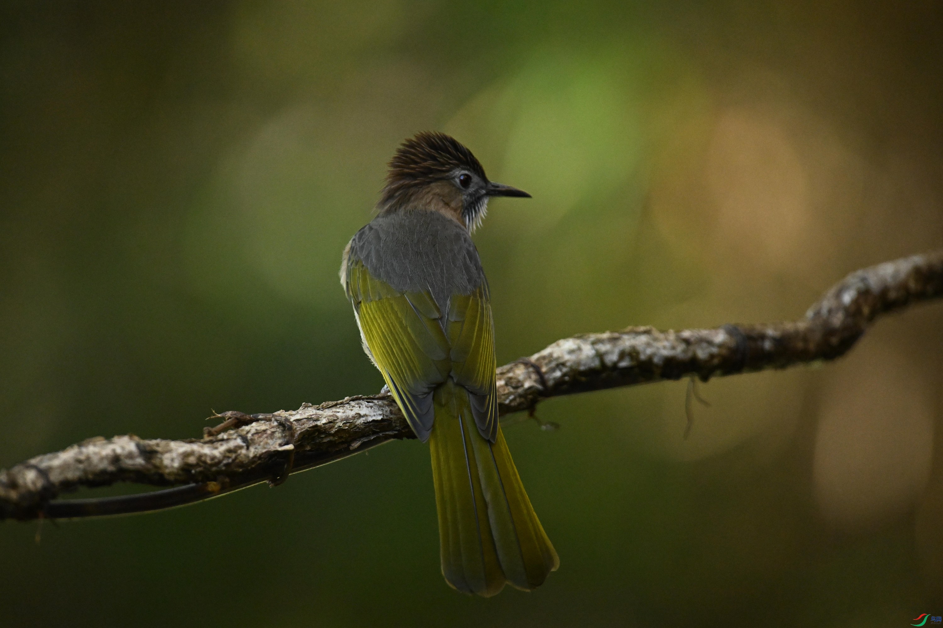 ���� (6).jpg