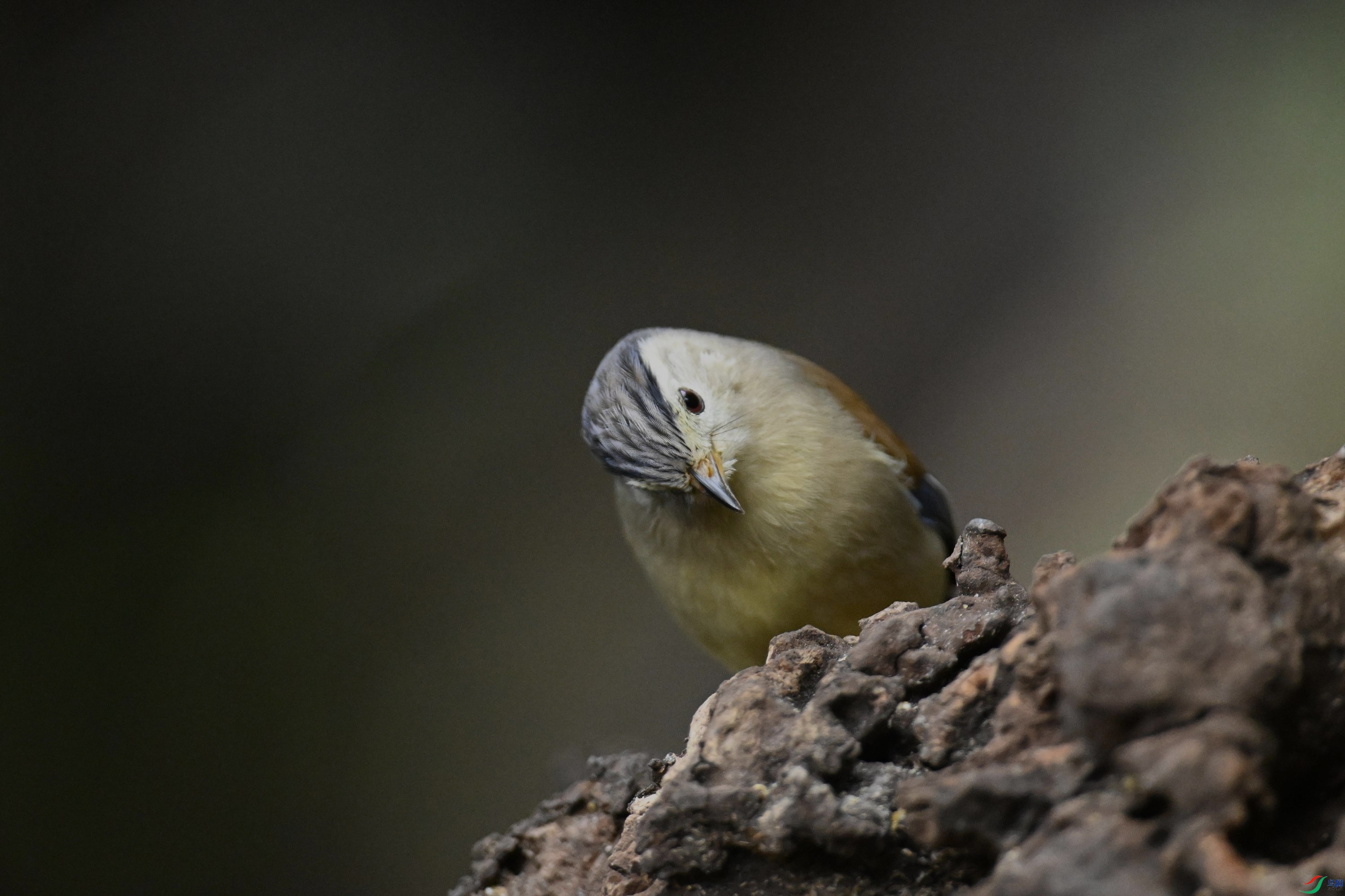 ���� (21).jpg