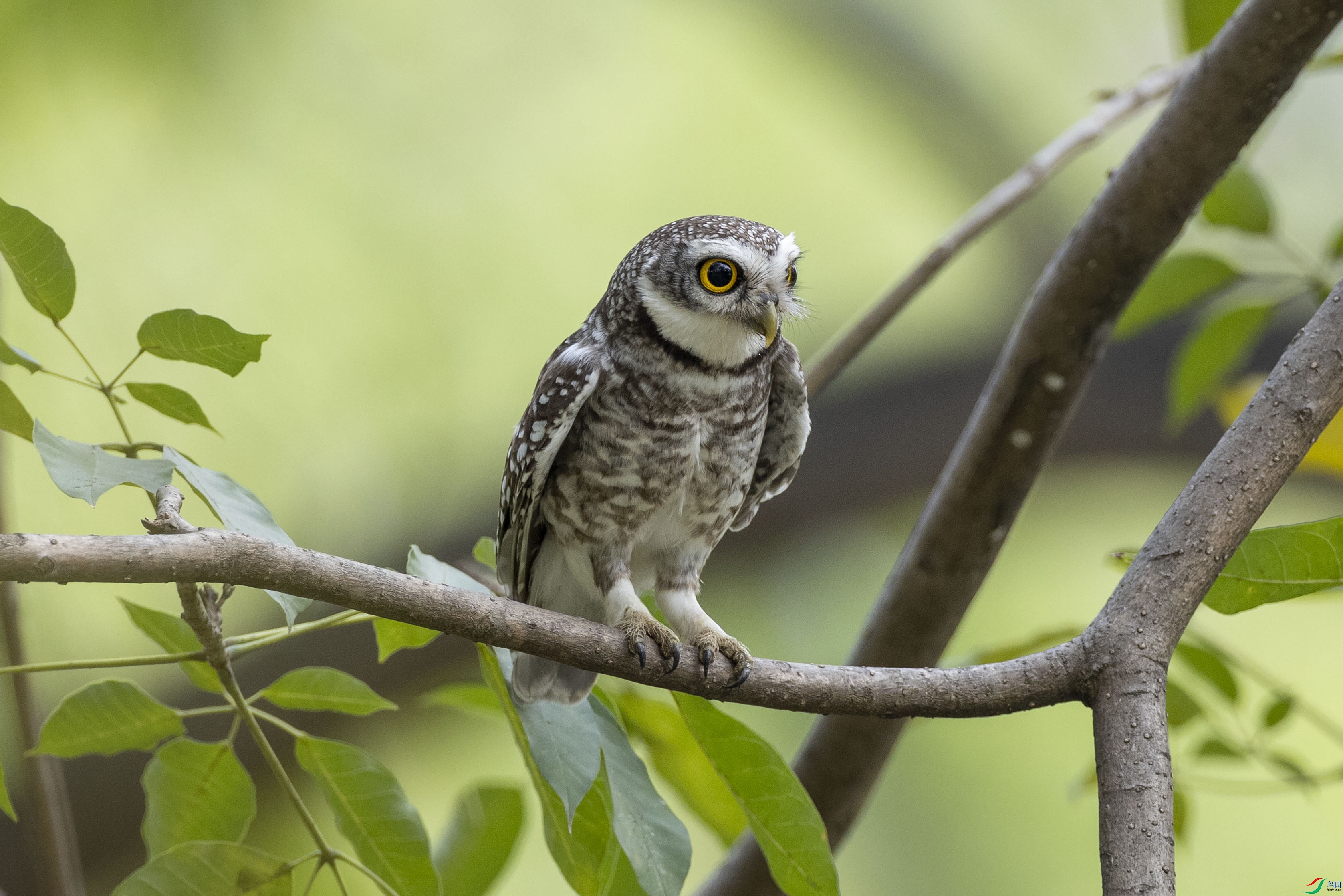 2I4A3165��߸�С�^ (1).jpg