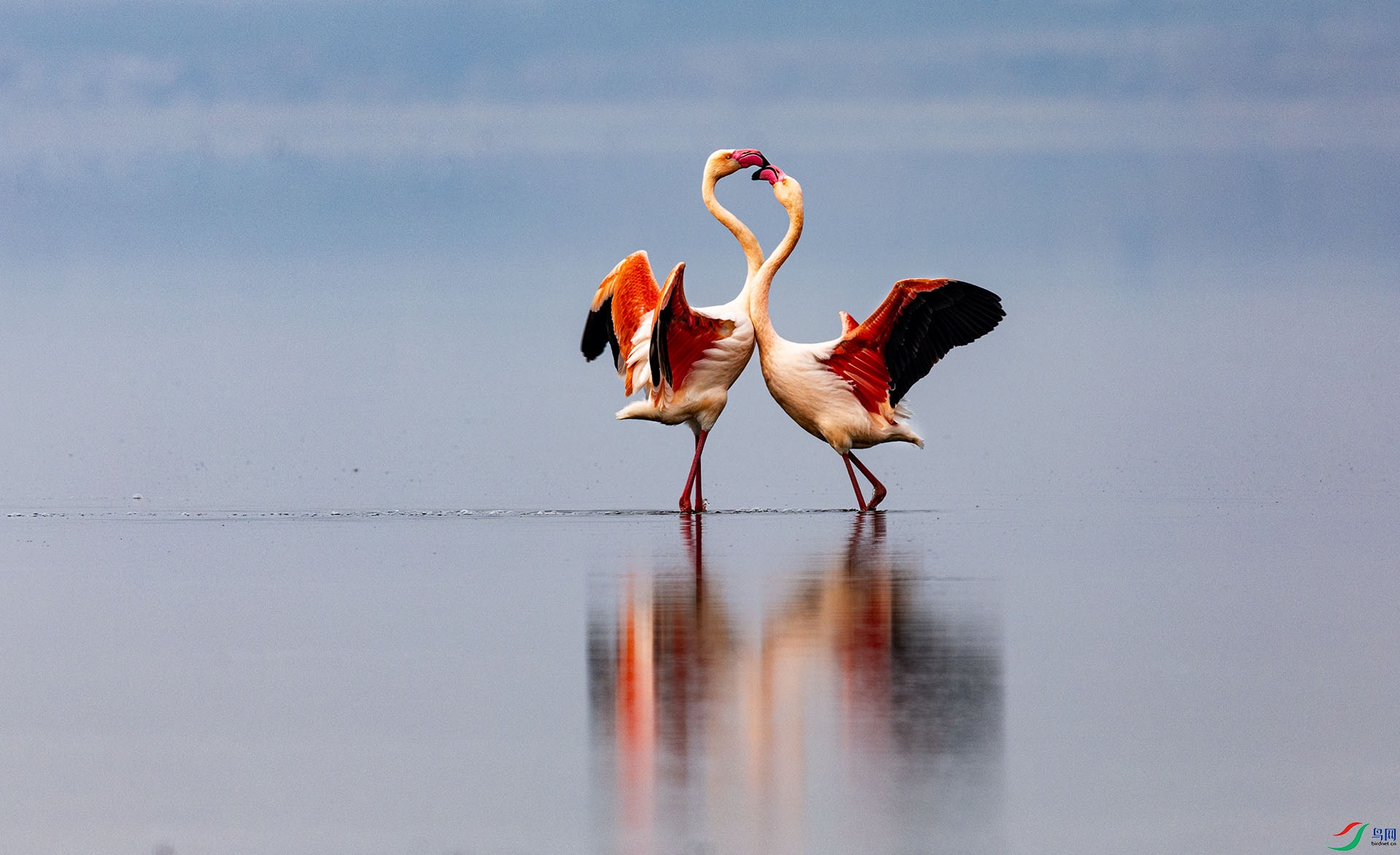 066A0129 ����.jpg