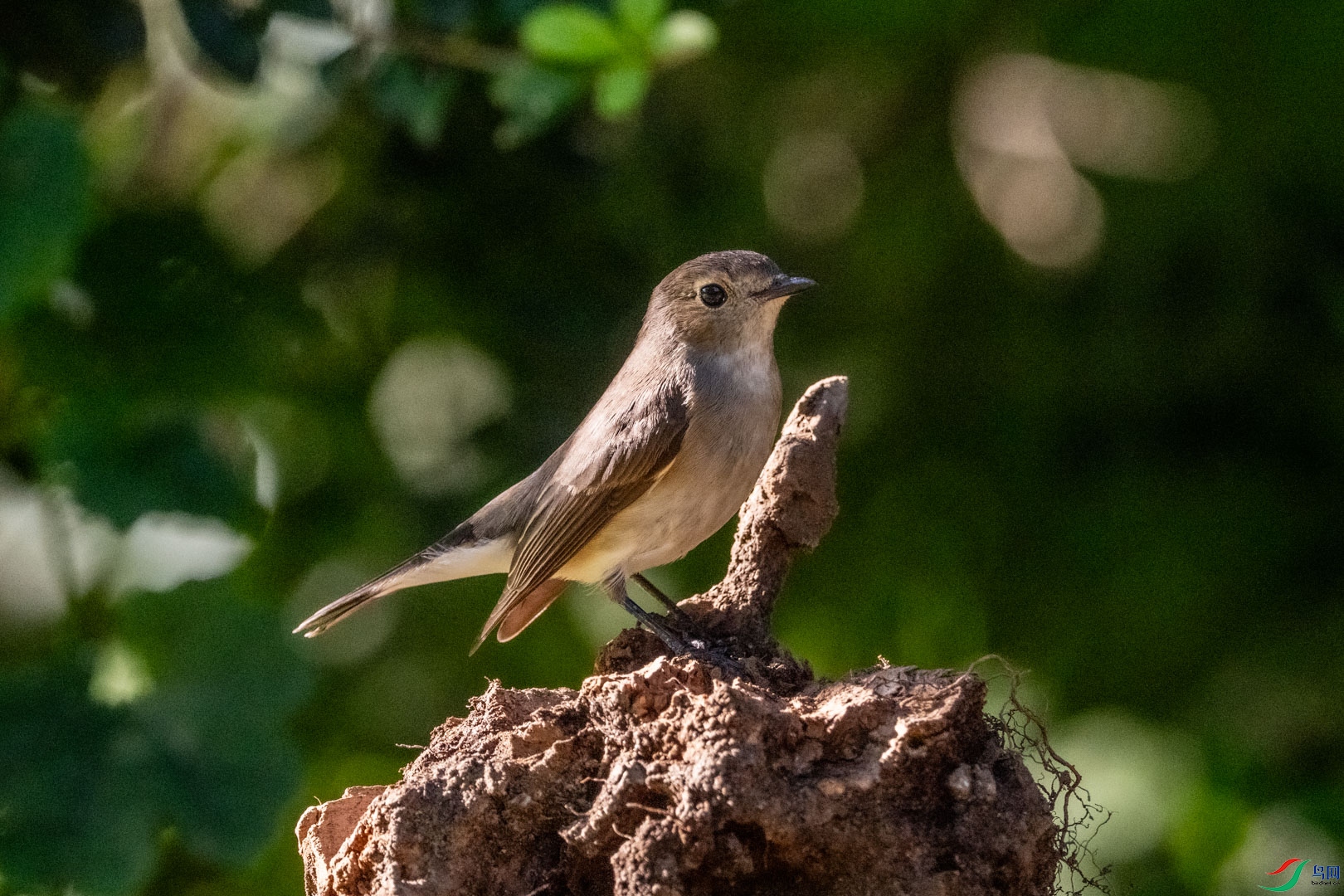 DSC_7769_1.jpg