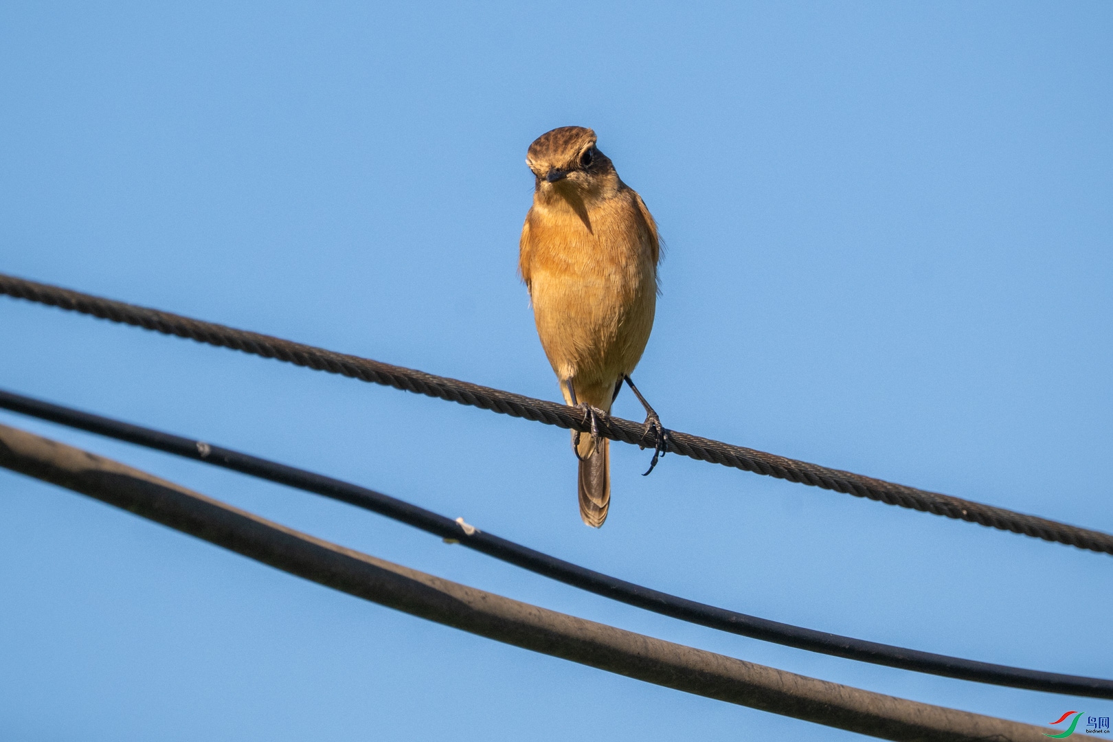 DSC_7874_2.jpg