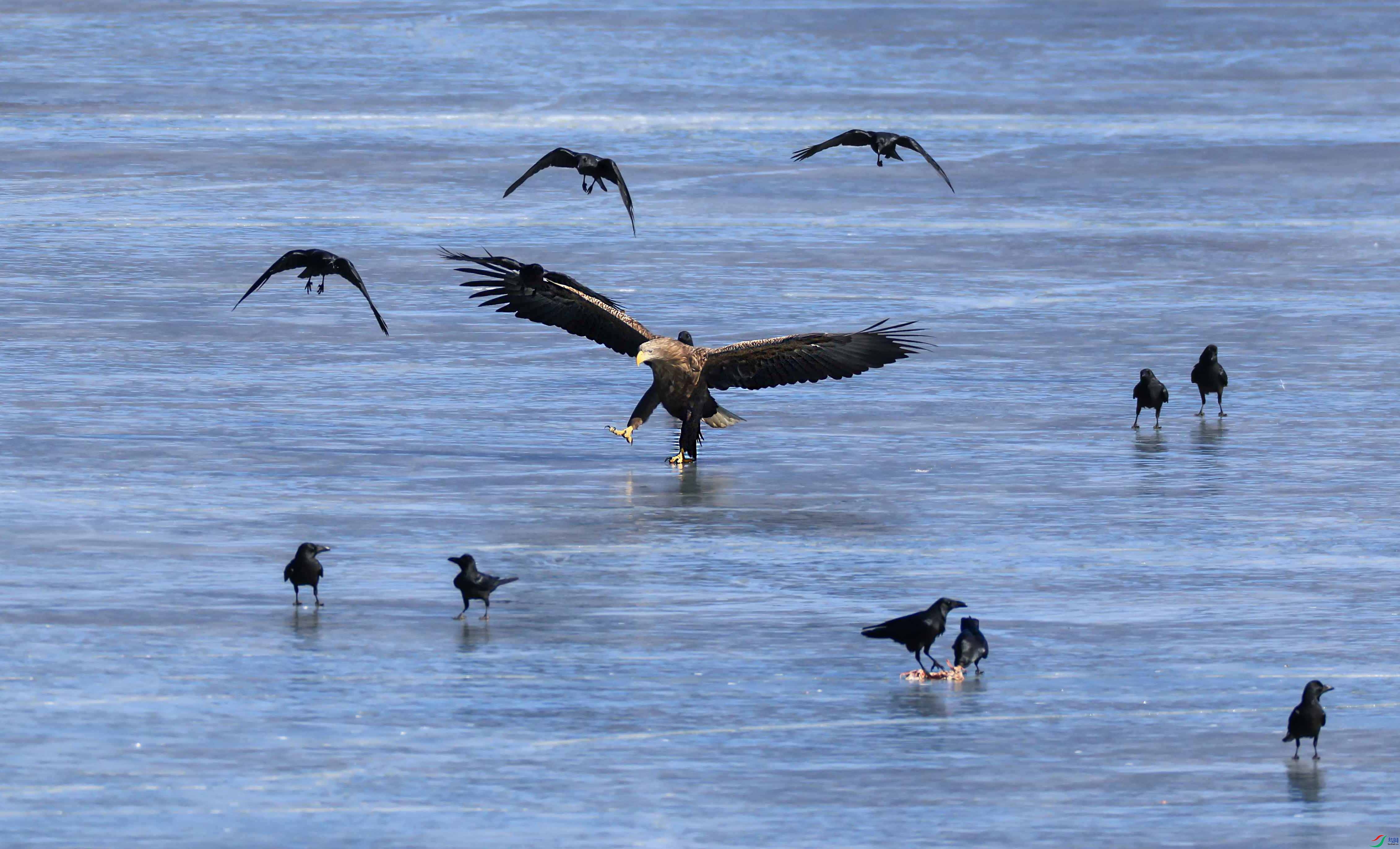 1-xt4L2A7458 ���� 2.jpg