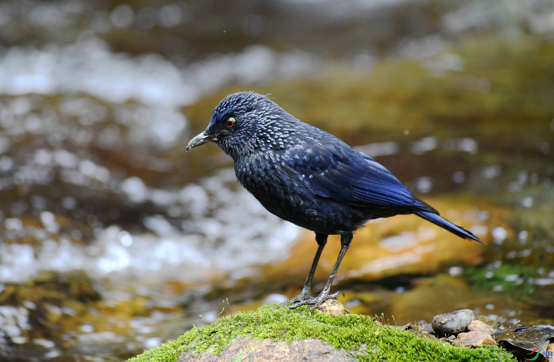 DSC_9456.jpg