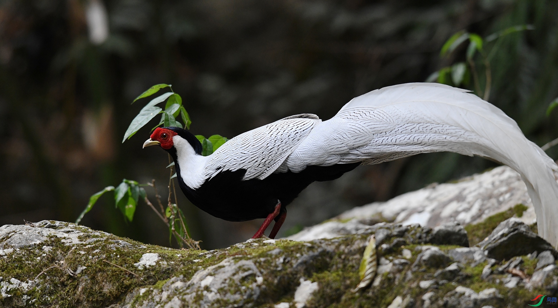 DSC_9400.jpg