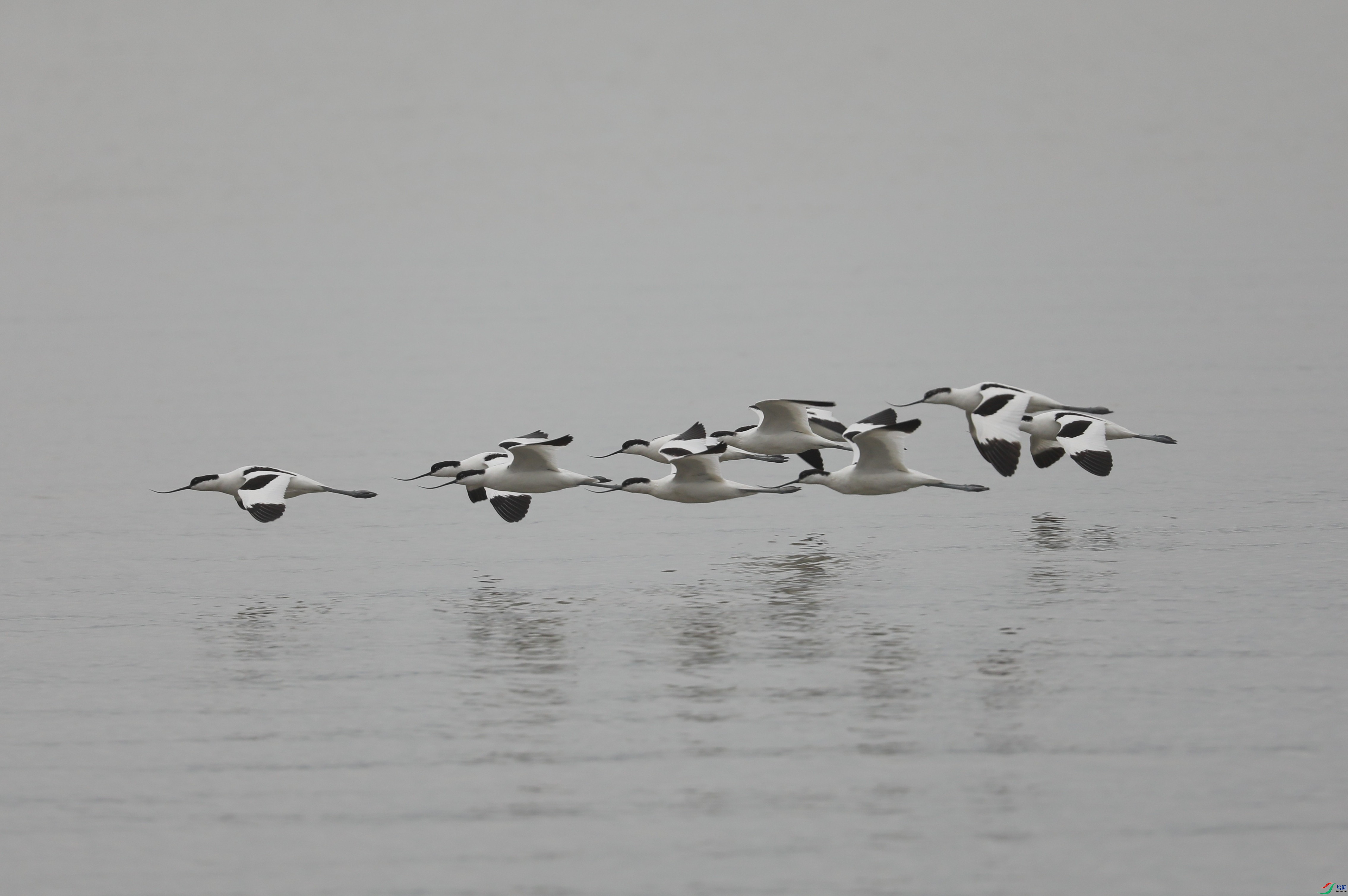 BL7A0663.JPG