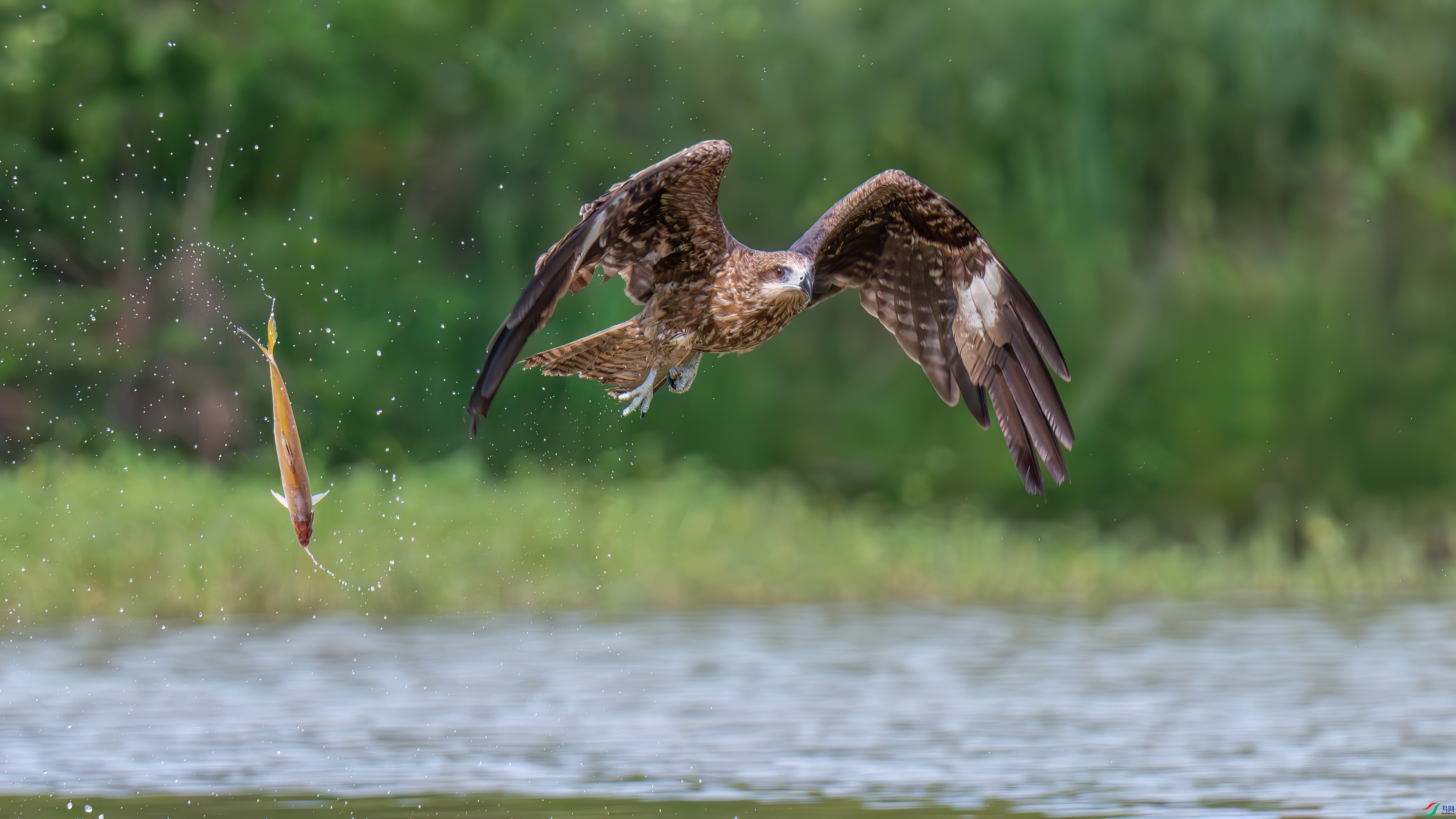DSC_3571.jpg