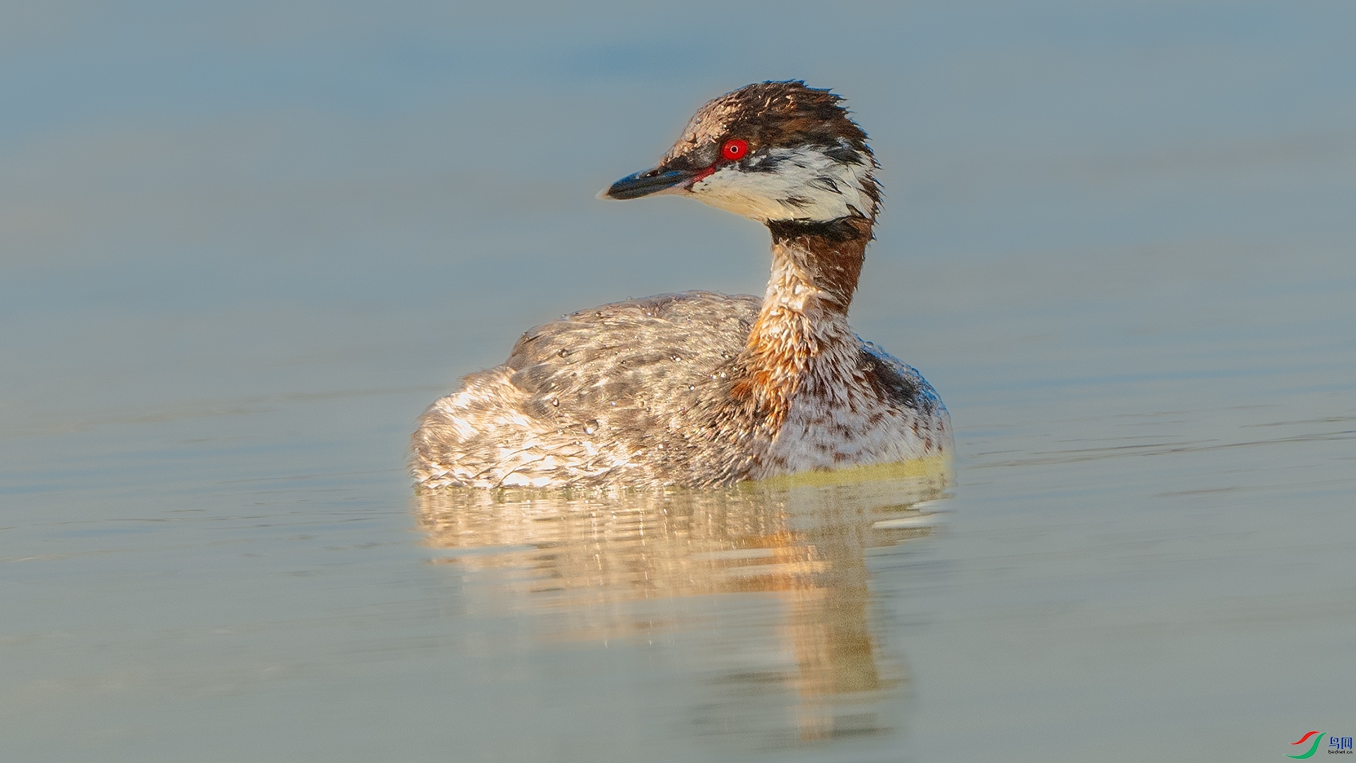 DSC_3525 ����.jpg