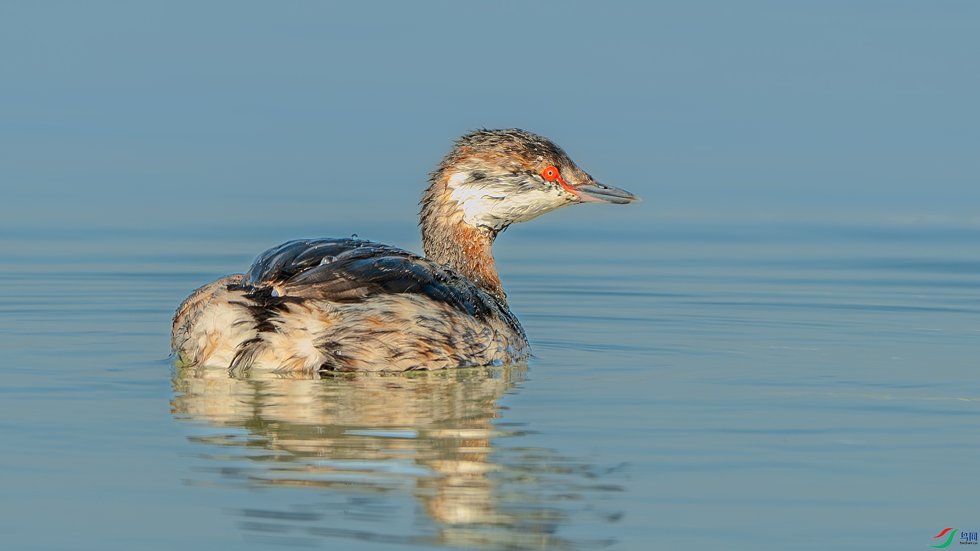 DSC_3627-����ǿ-NR ����.jpg