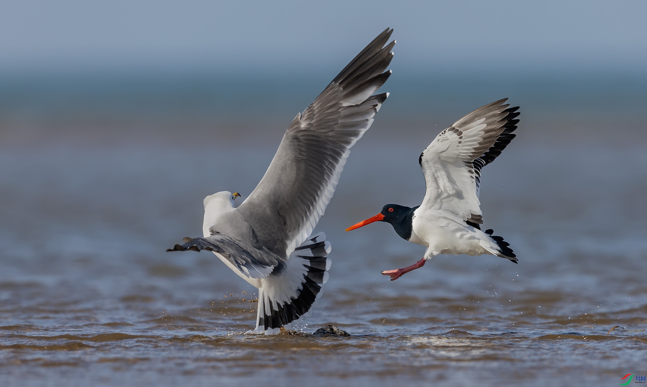 ��βŸ������