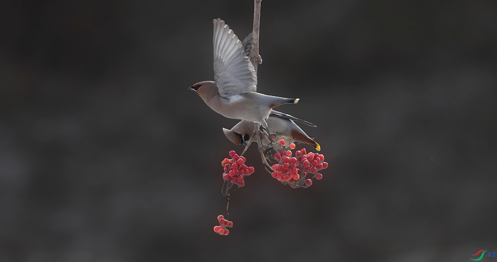 ��֡ 2026-03-12 134820_1.1.14.jpg