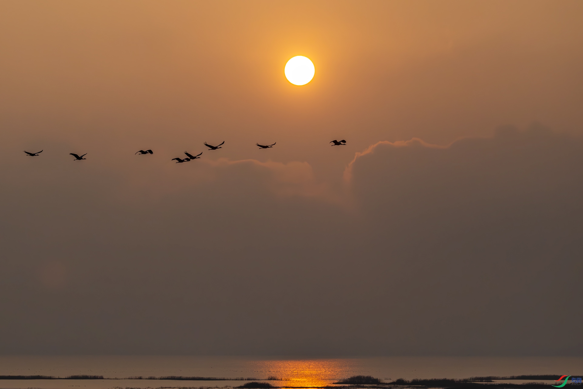 1A3A3204-����ǿ-NR-1.jpg