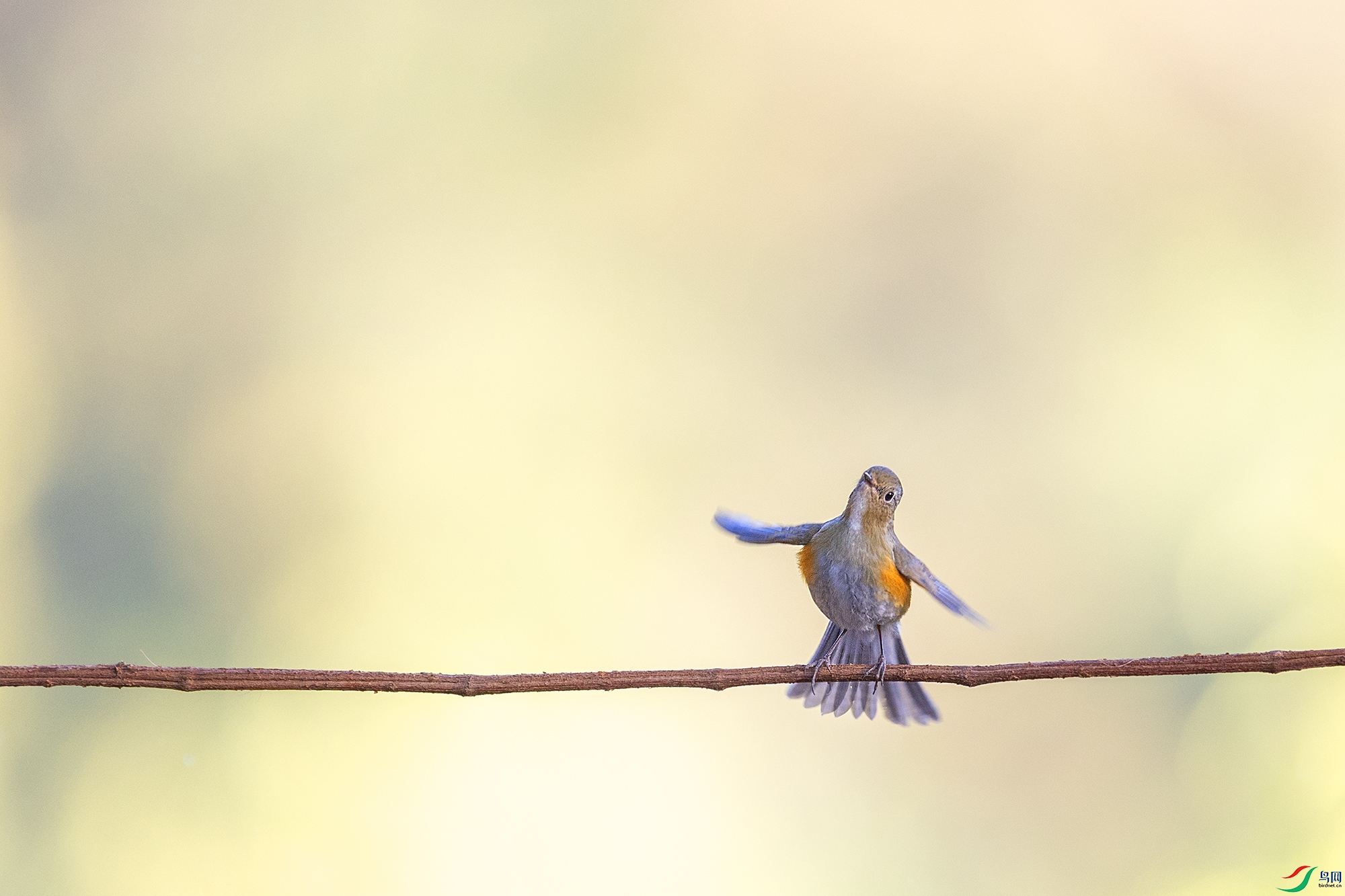 0F7A4181 ����.jpg