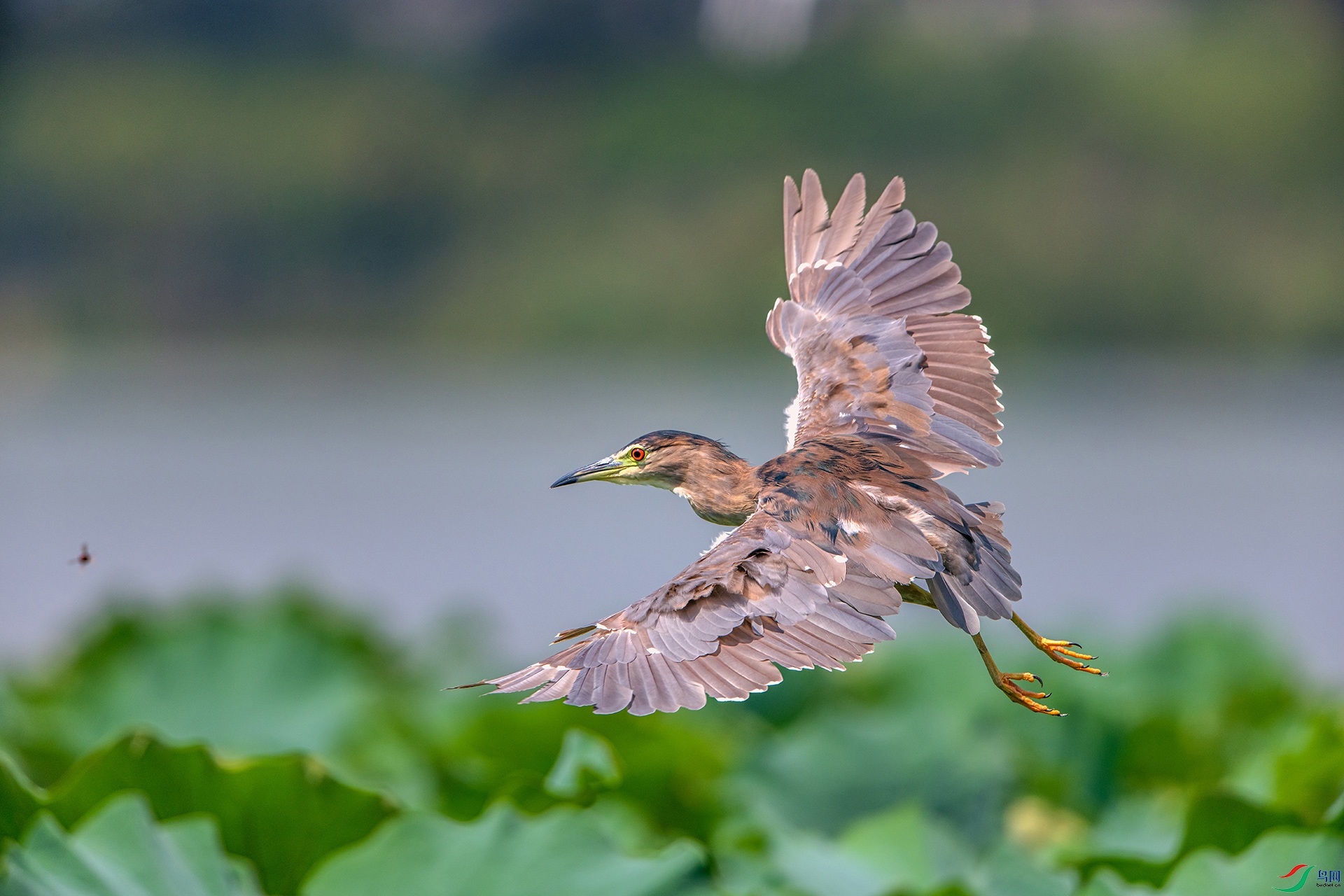 _AUU9930ҹ��(24.8.29).jpg