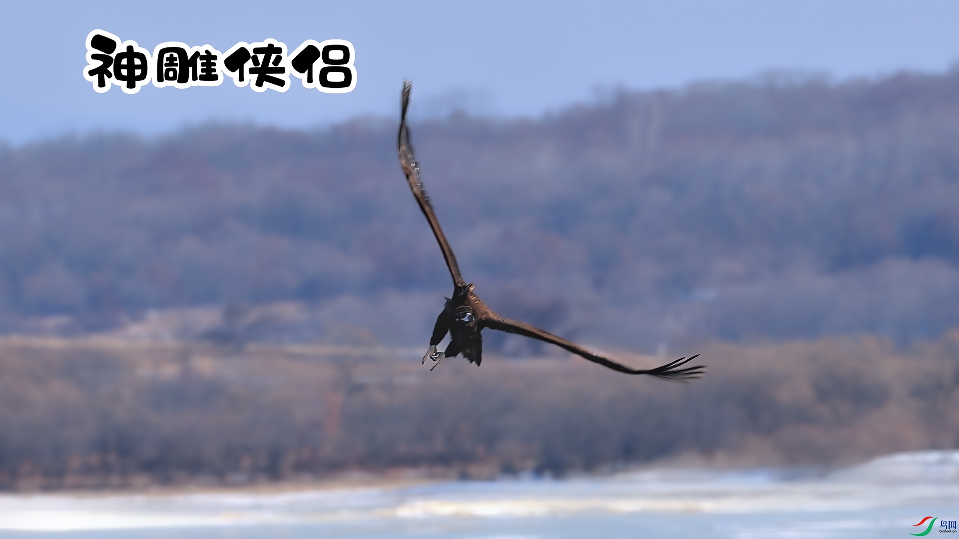 3��13�� ����.jpg