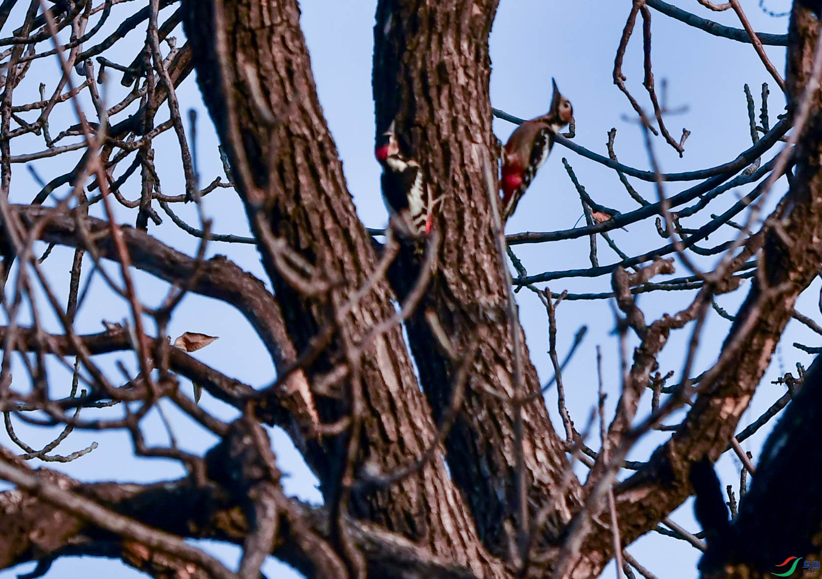 DSC_9560   ��.jpg