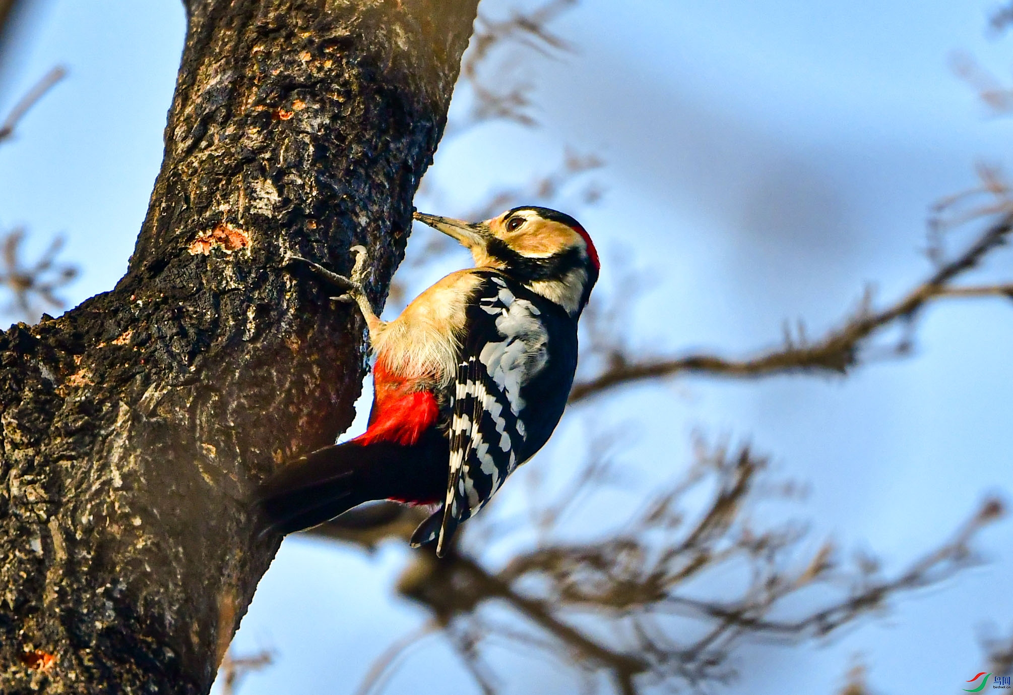 DSC_9524   ��.jpg