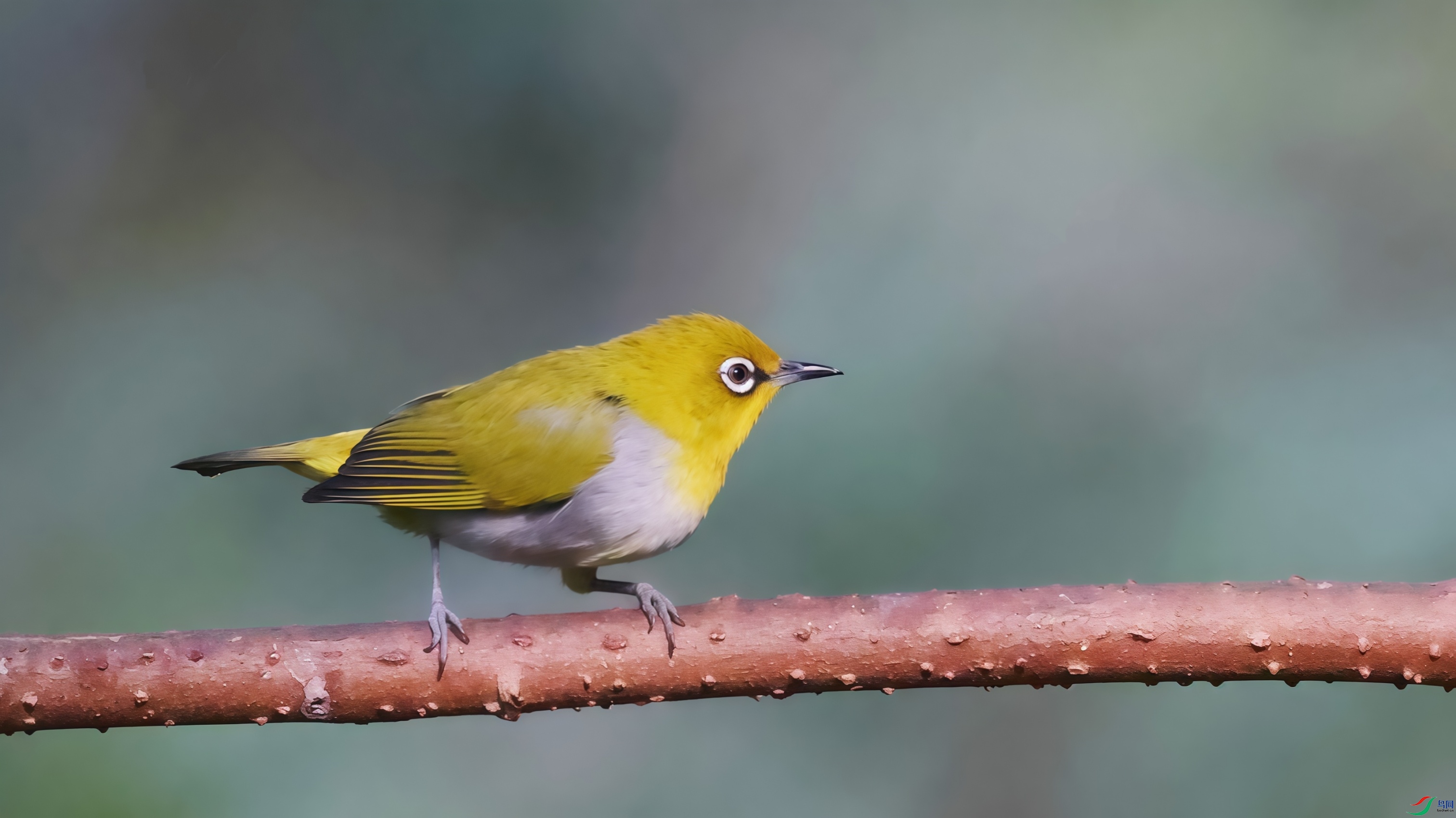 2F6A1138_���� (2).jpg