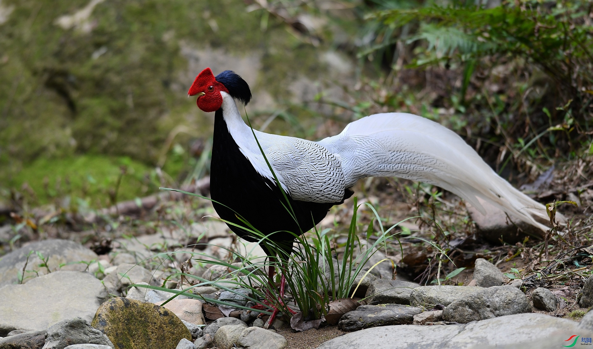 DSC_6772.jpg