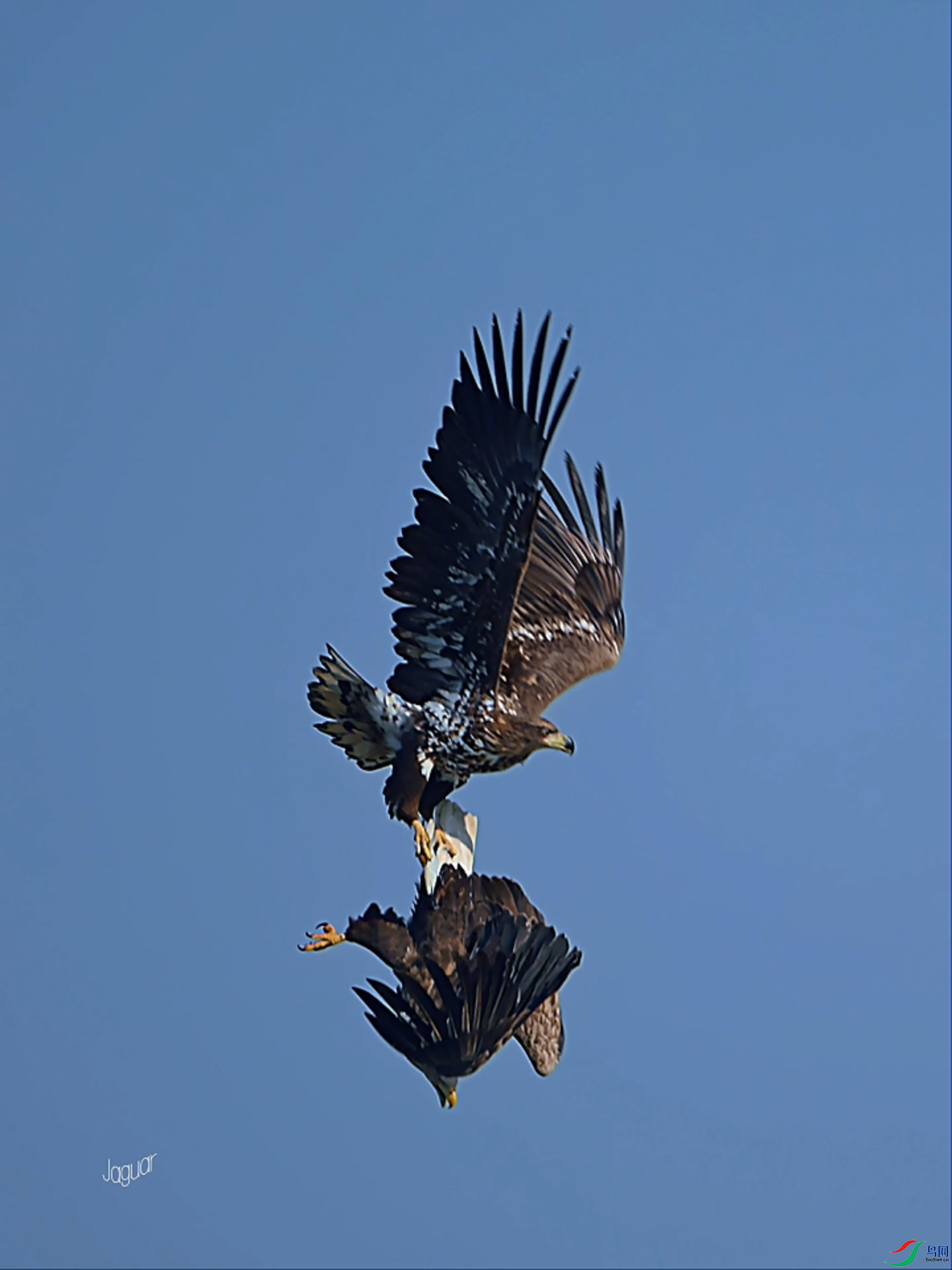 3��13�� (19).png