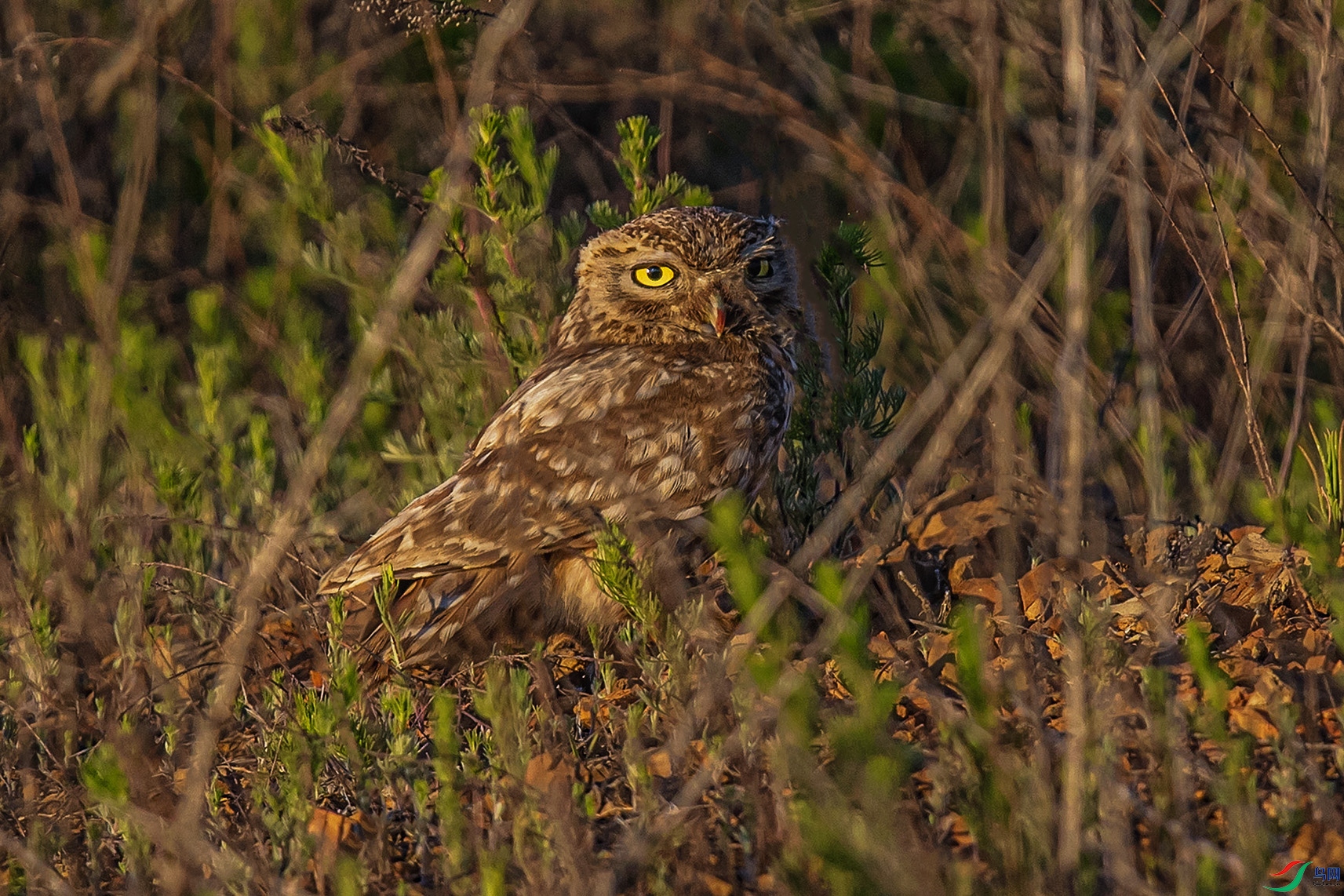 _90I0145 ����-3 ����.jpg