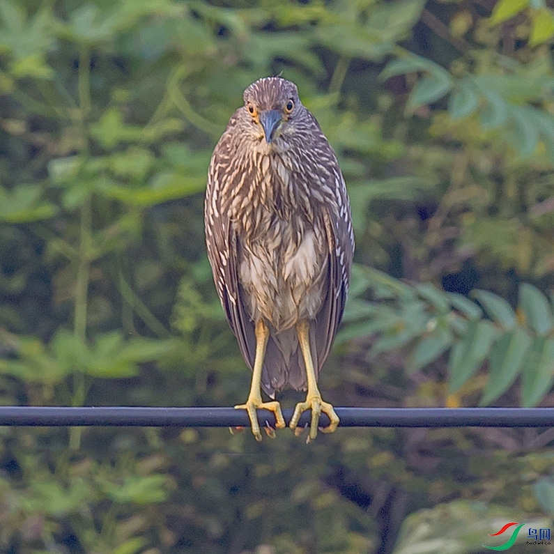 _90I3990 ����.jpg