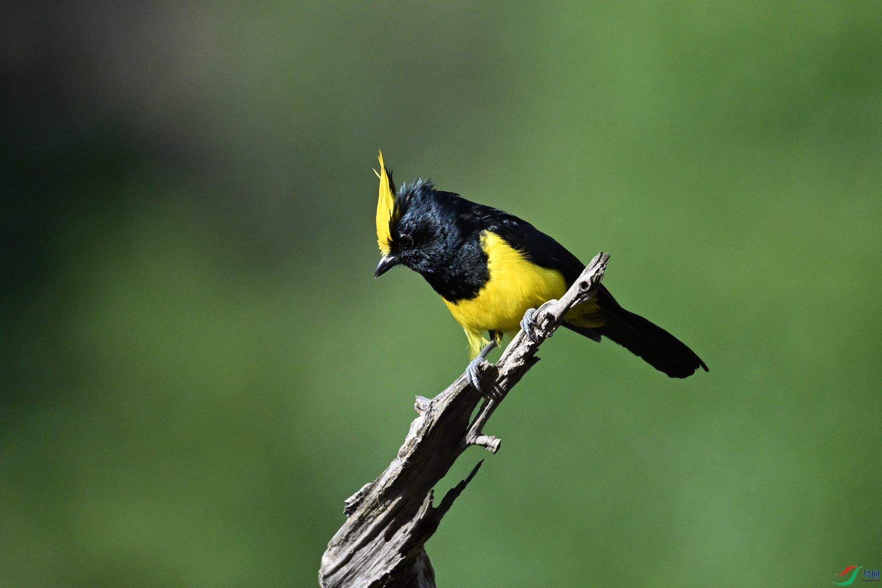 DSC_2367.JPG