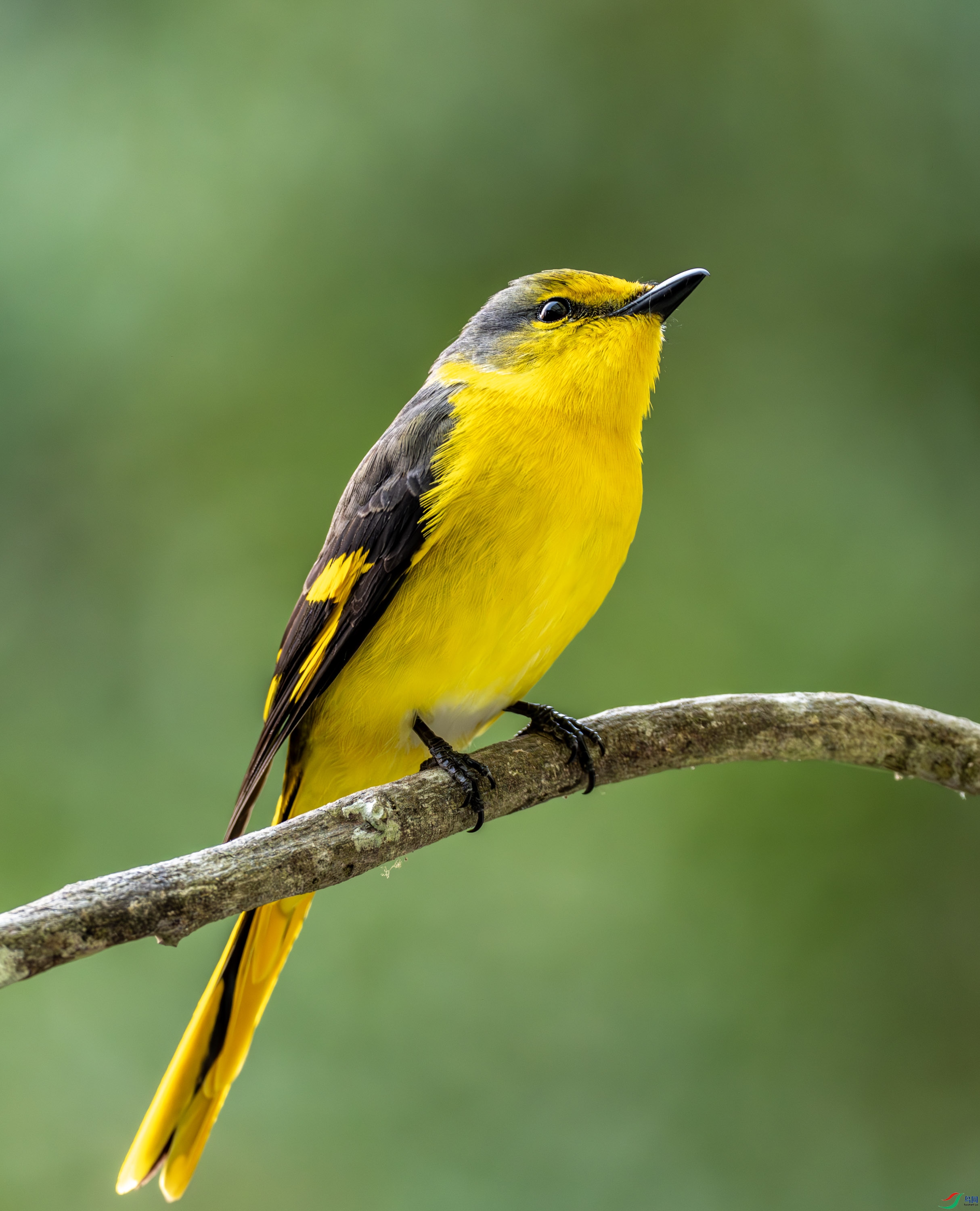 ����ɽ����-01 (3 - 14).jpg