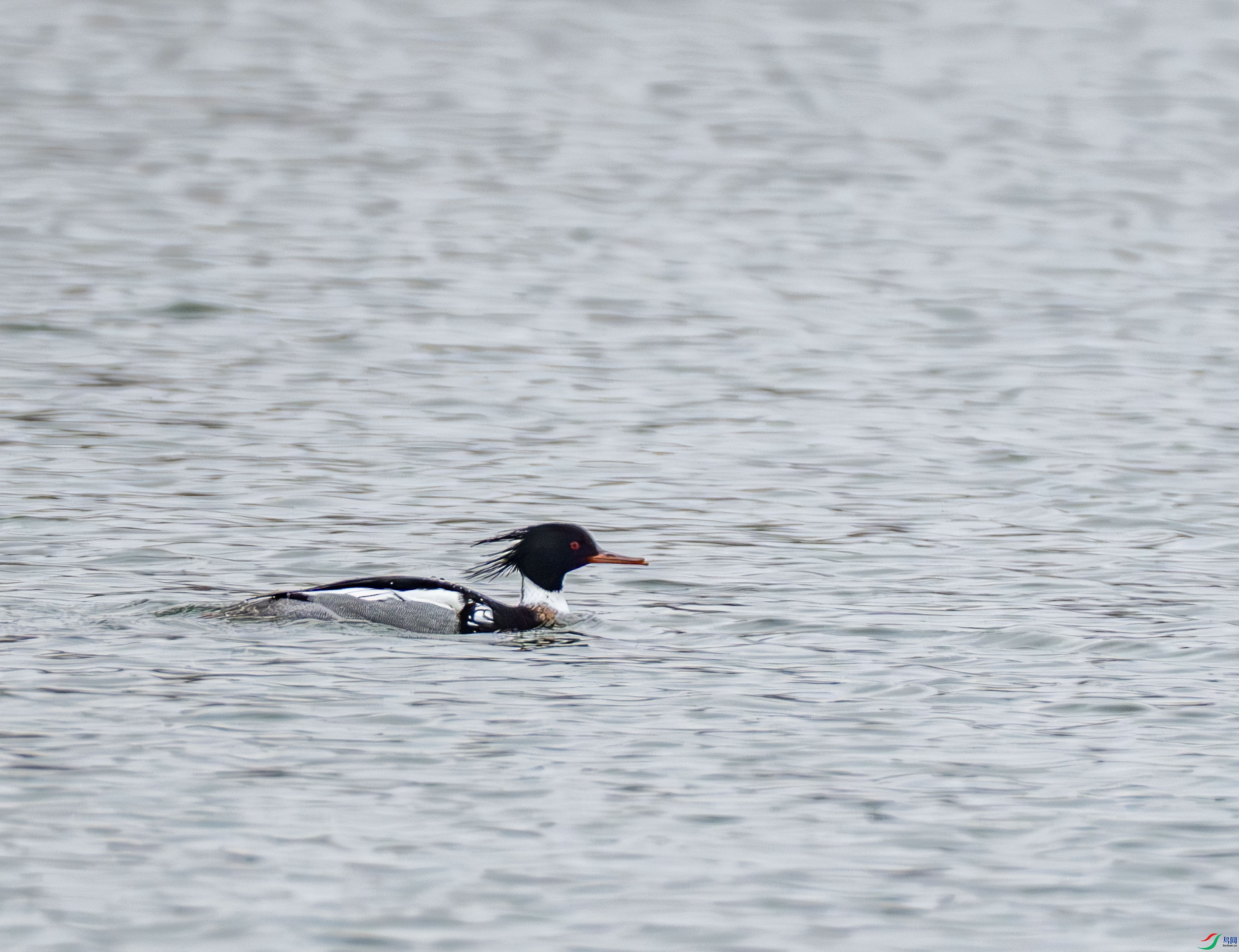 ������ɳѼ-01 (2 - 4).jpg