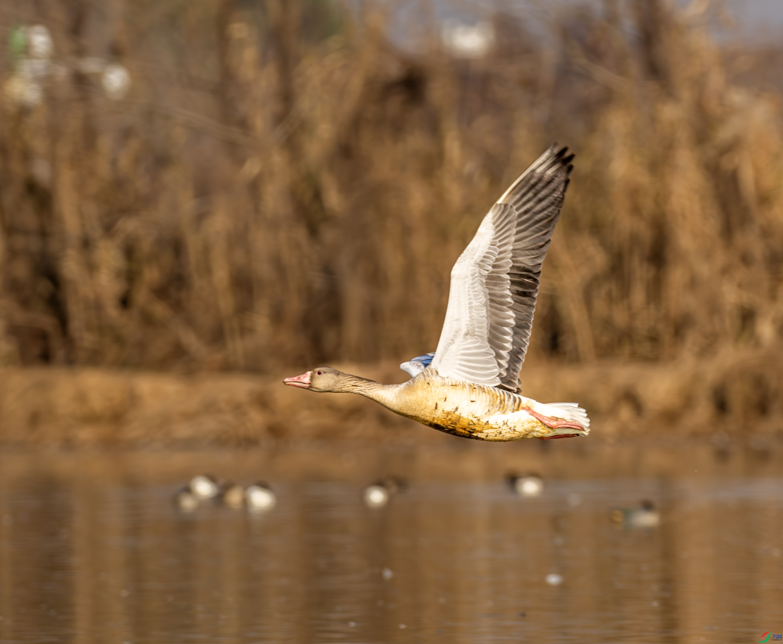 ����-03 (3 - 8).jpg