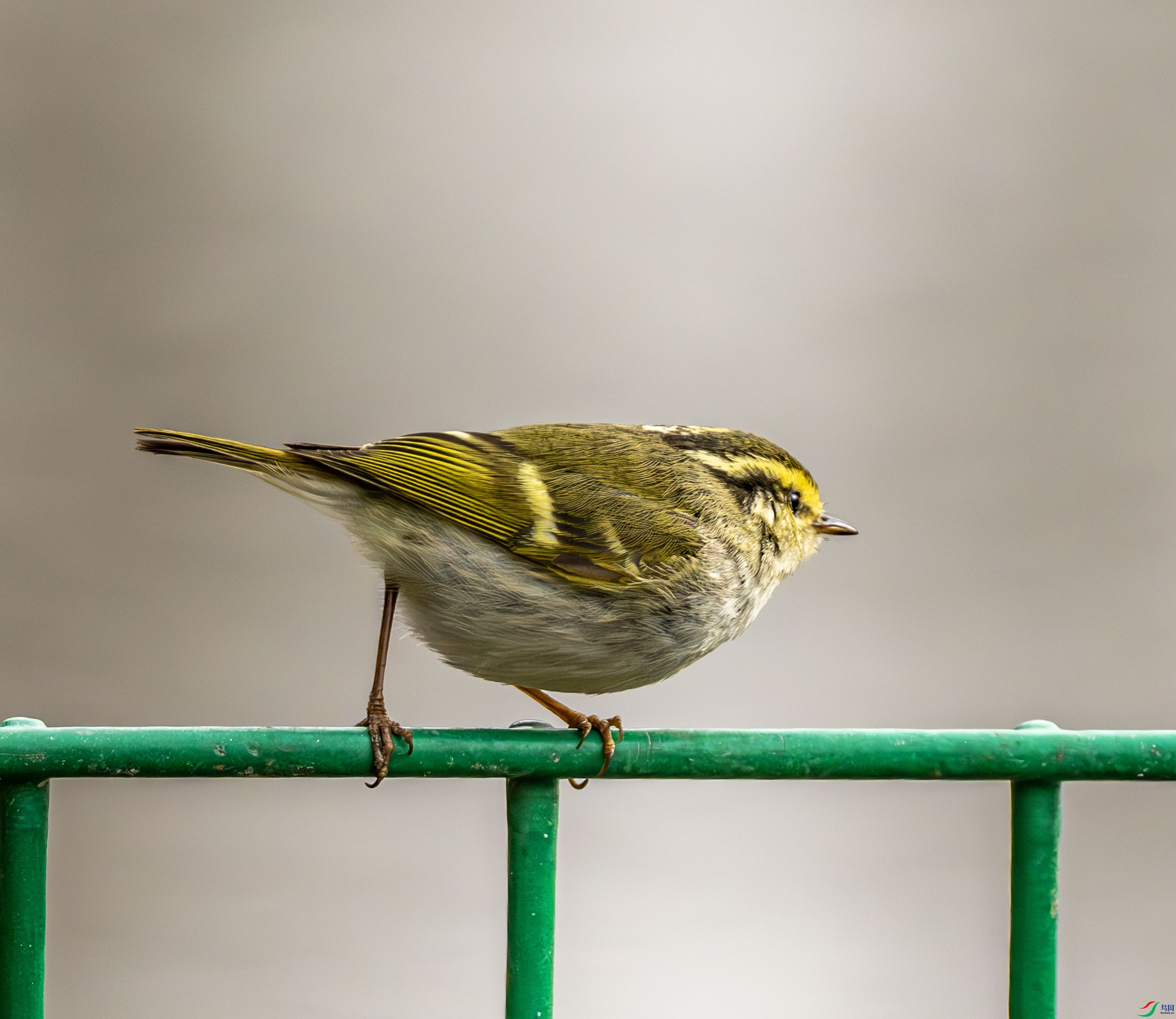 ������ݺ-01 (2 - 7).jpg