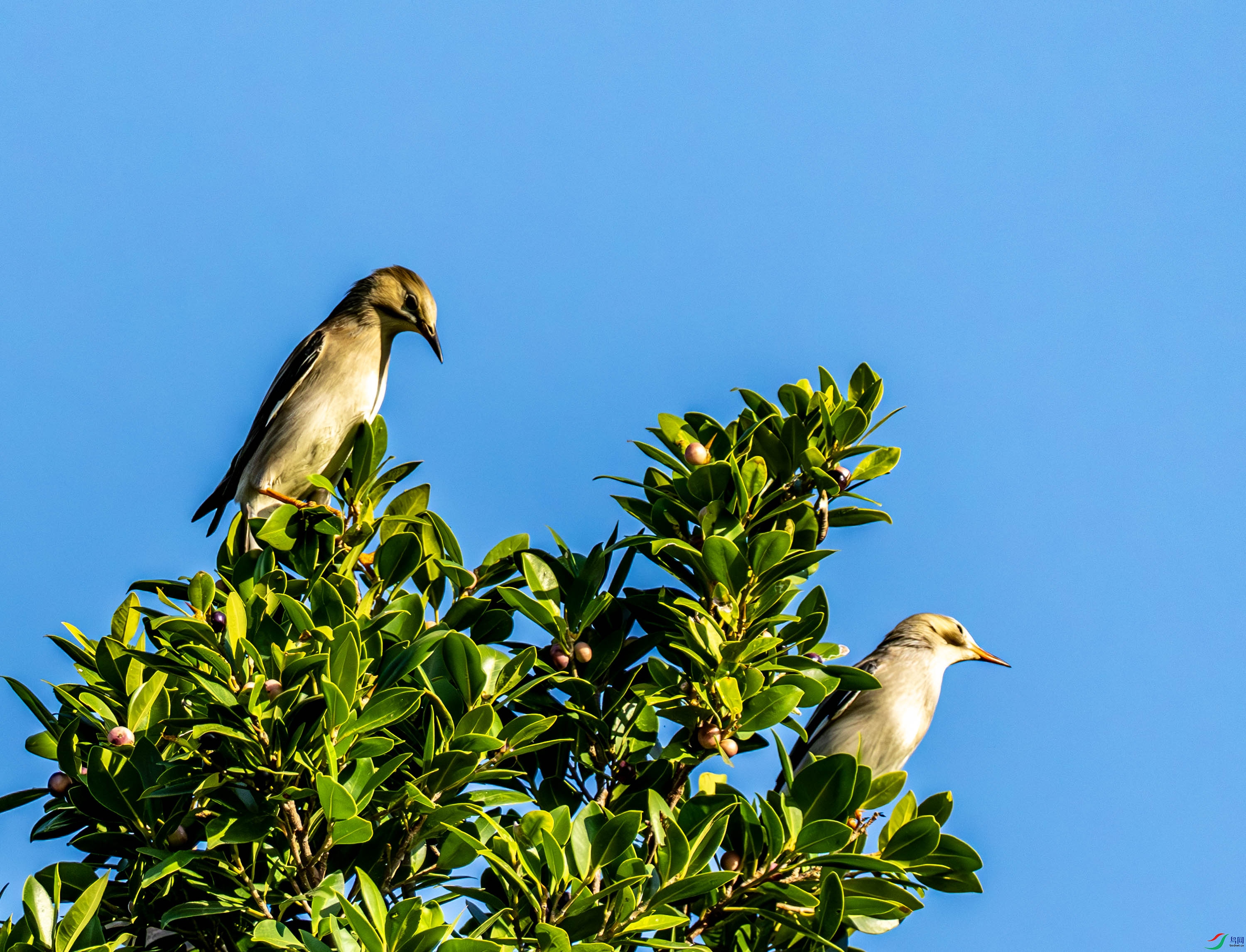 �ұ����-01-1 (5).jpg