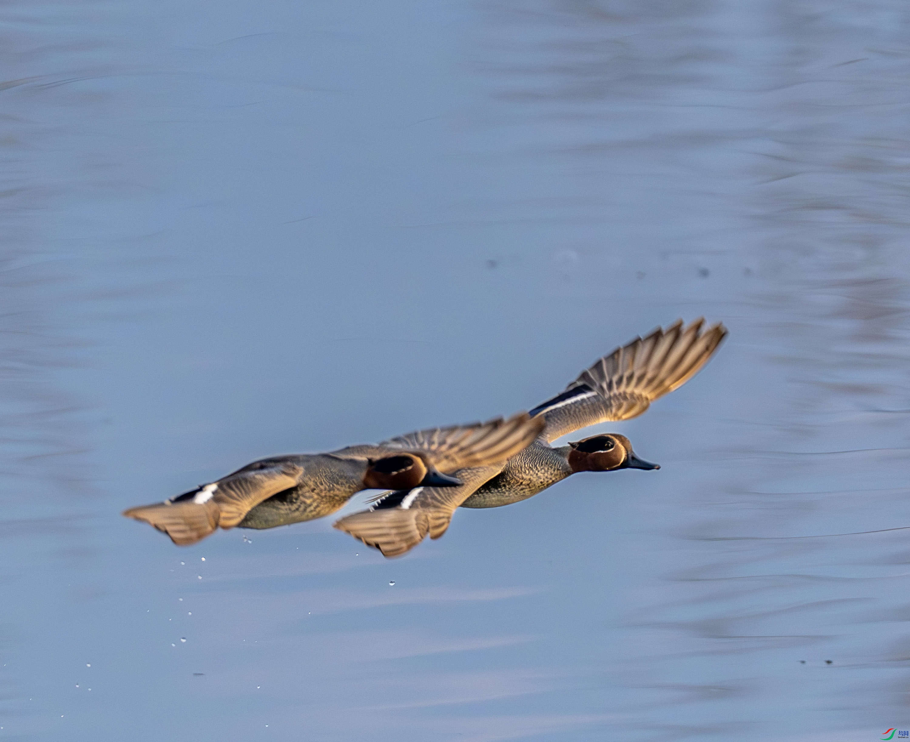 �̳�Ѽ-01 (2 - 9).jpg