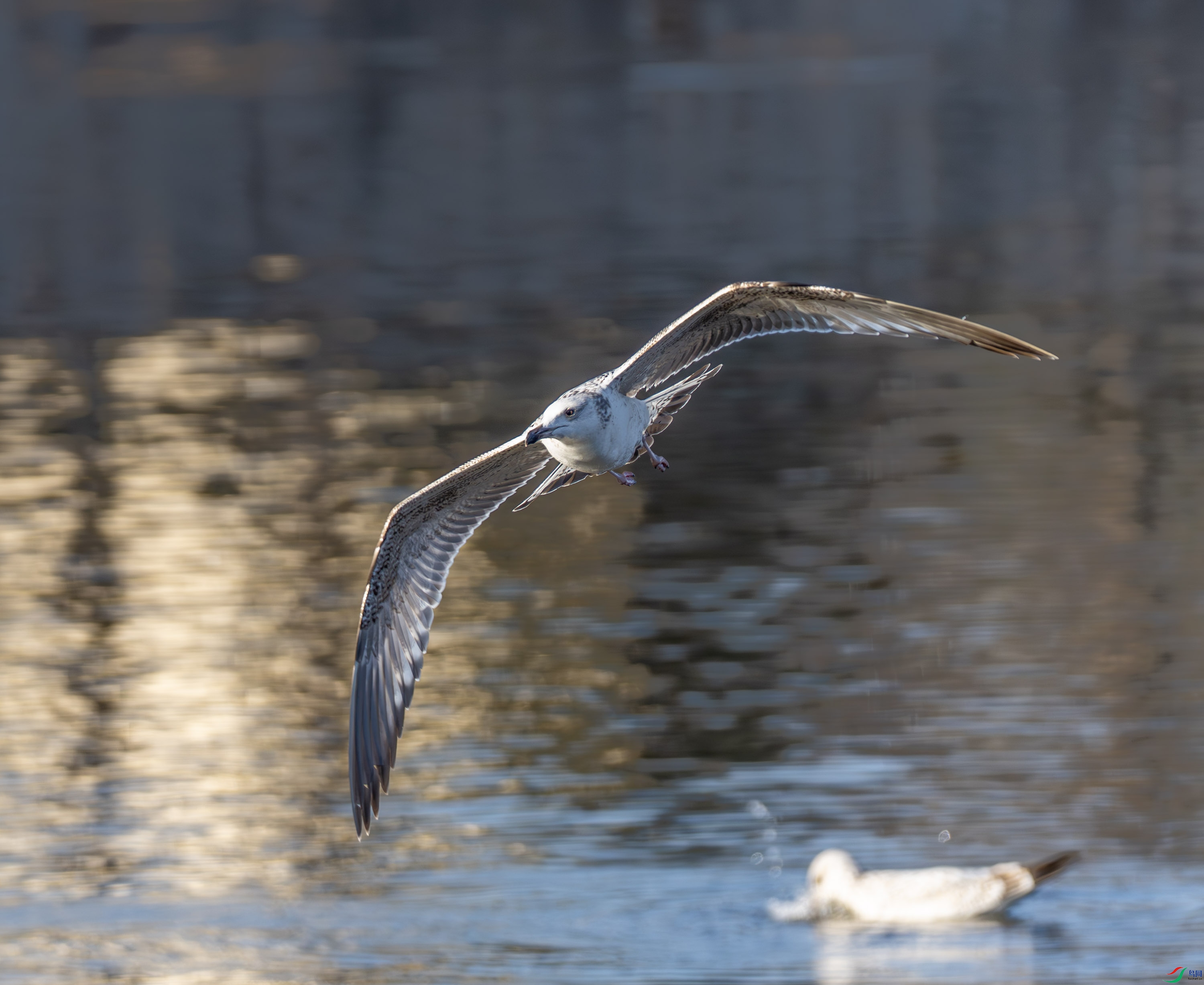 �ɹ���Ÿ-01 (1 - 9).jpg