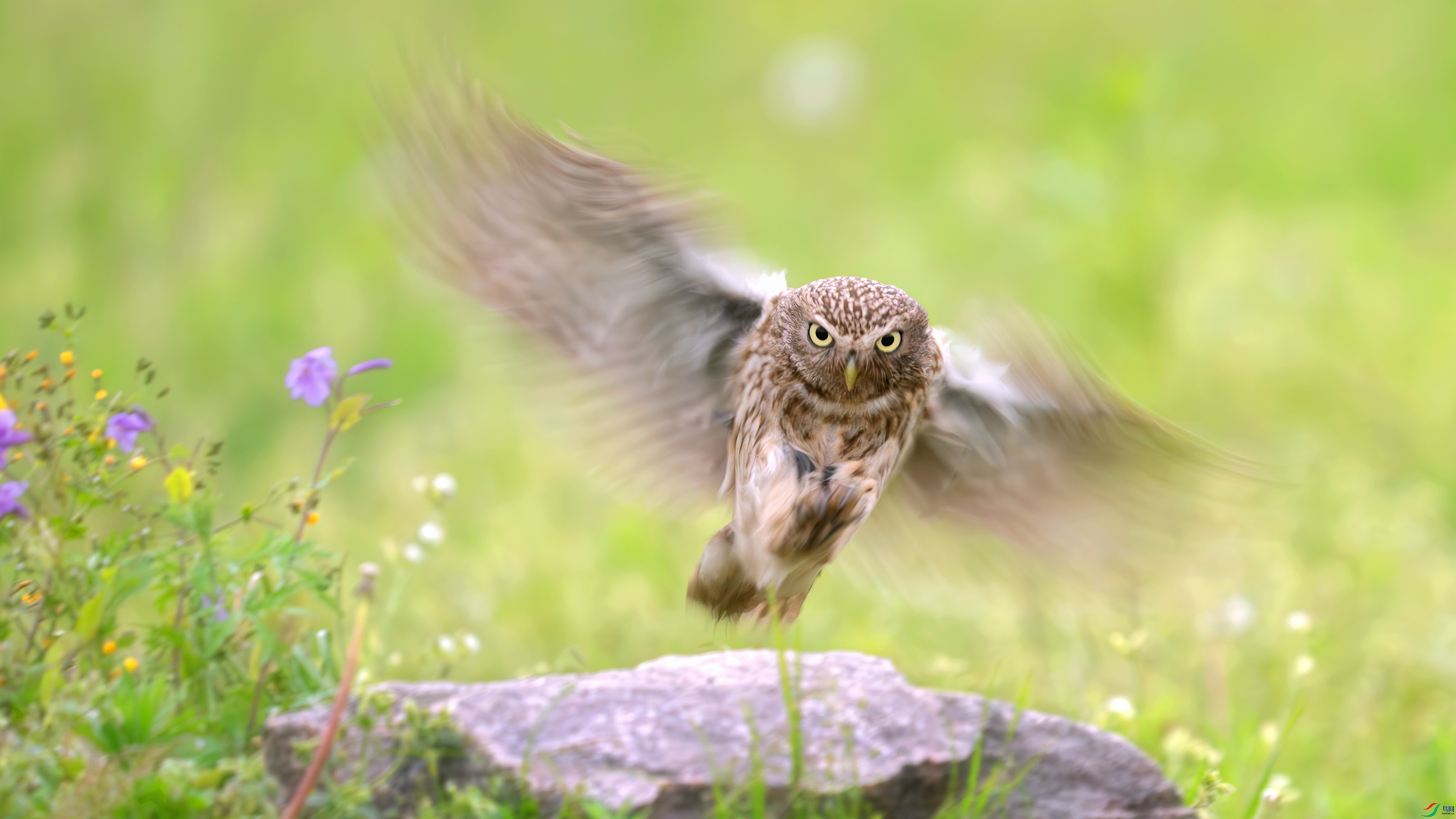 _DSC7259 ����.jpg