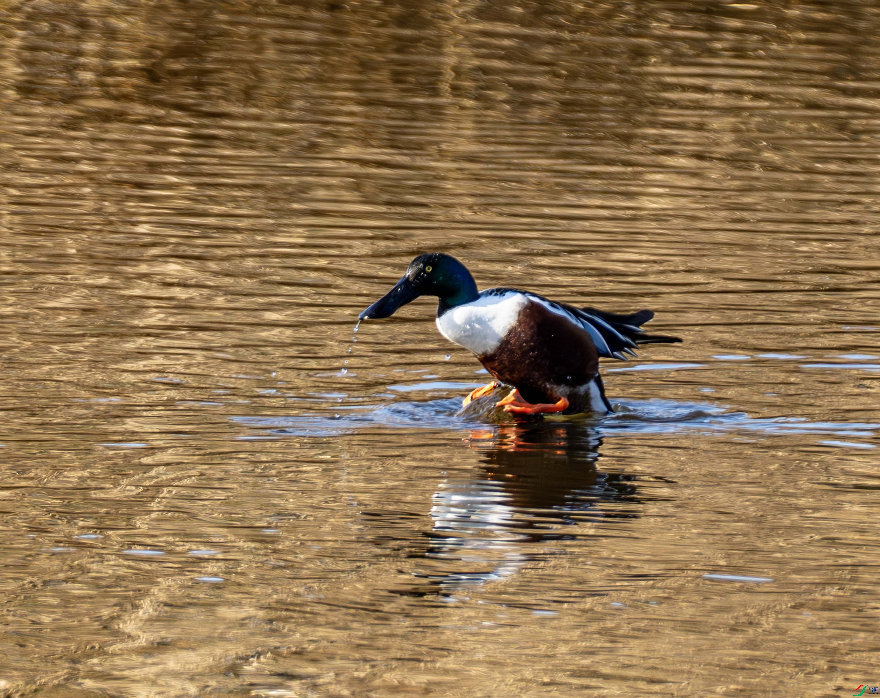 ����Ѽ-01 (1 - 15).jpg