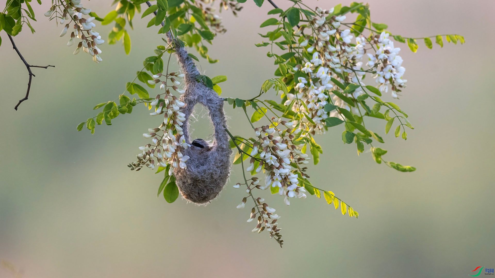 _DSC0405 ����.jpg