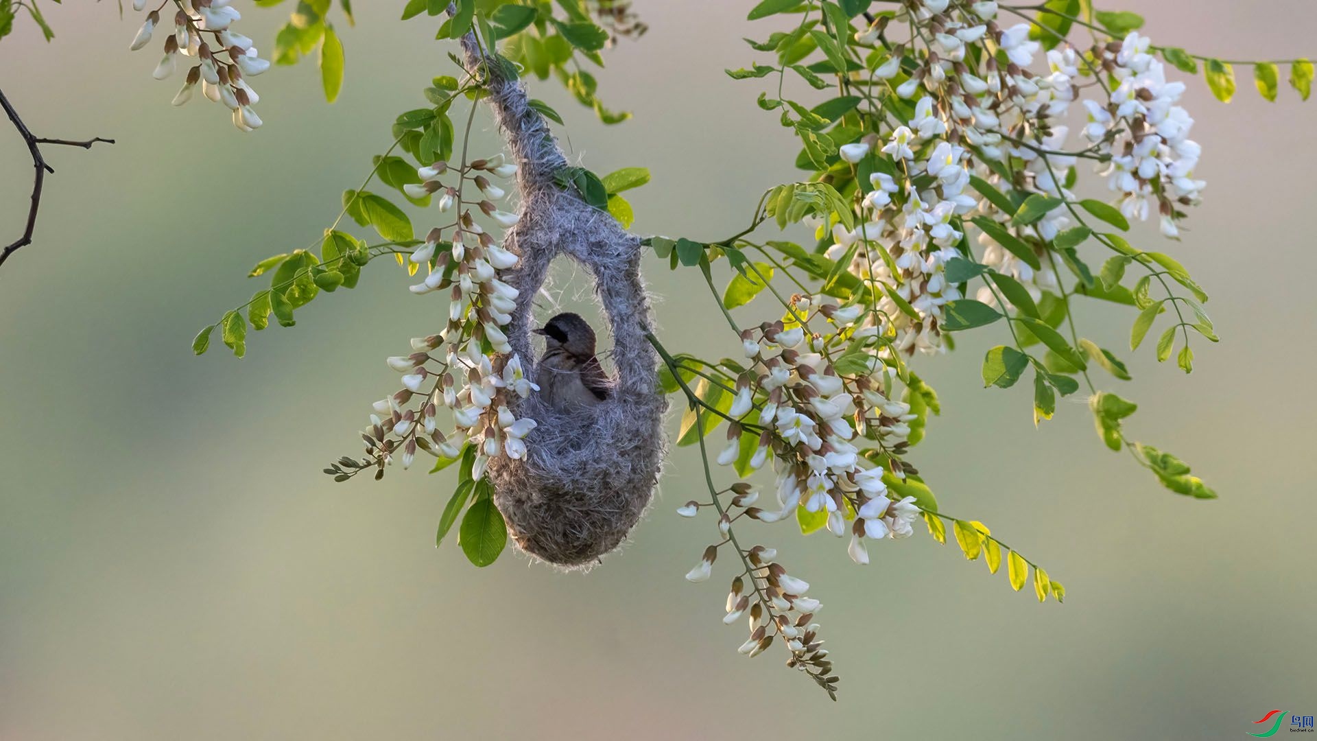 _DSC0413 ����.jpg