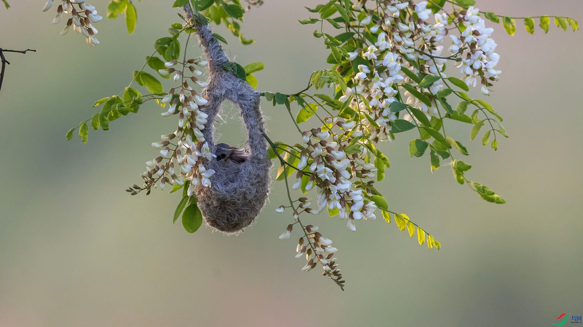 _DSC0417 ����.jpg