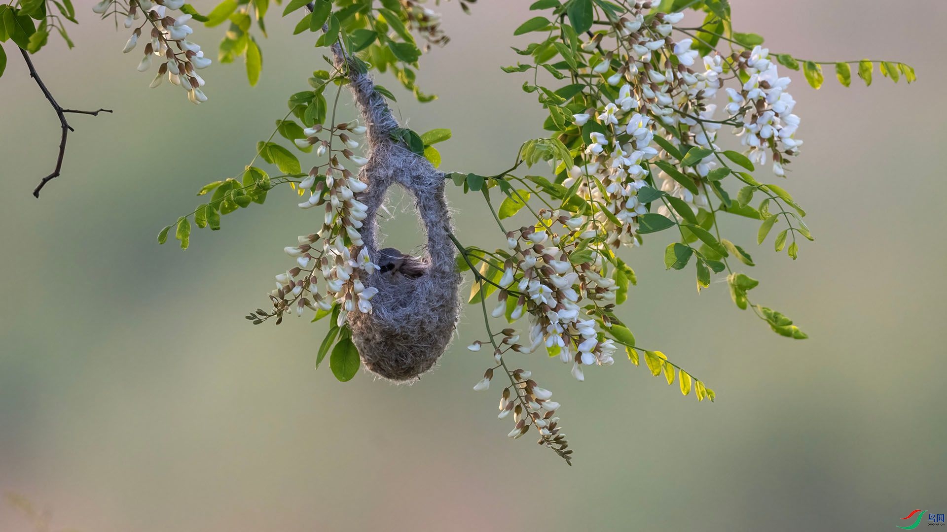 _DSC0418 ����.jpg