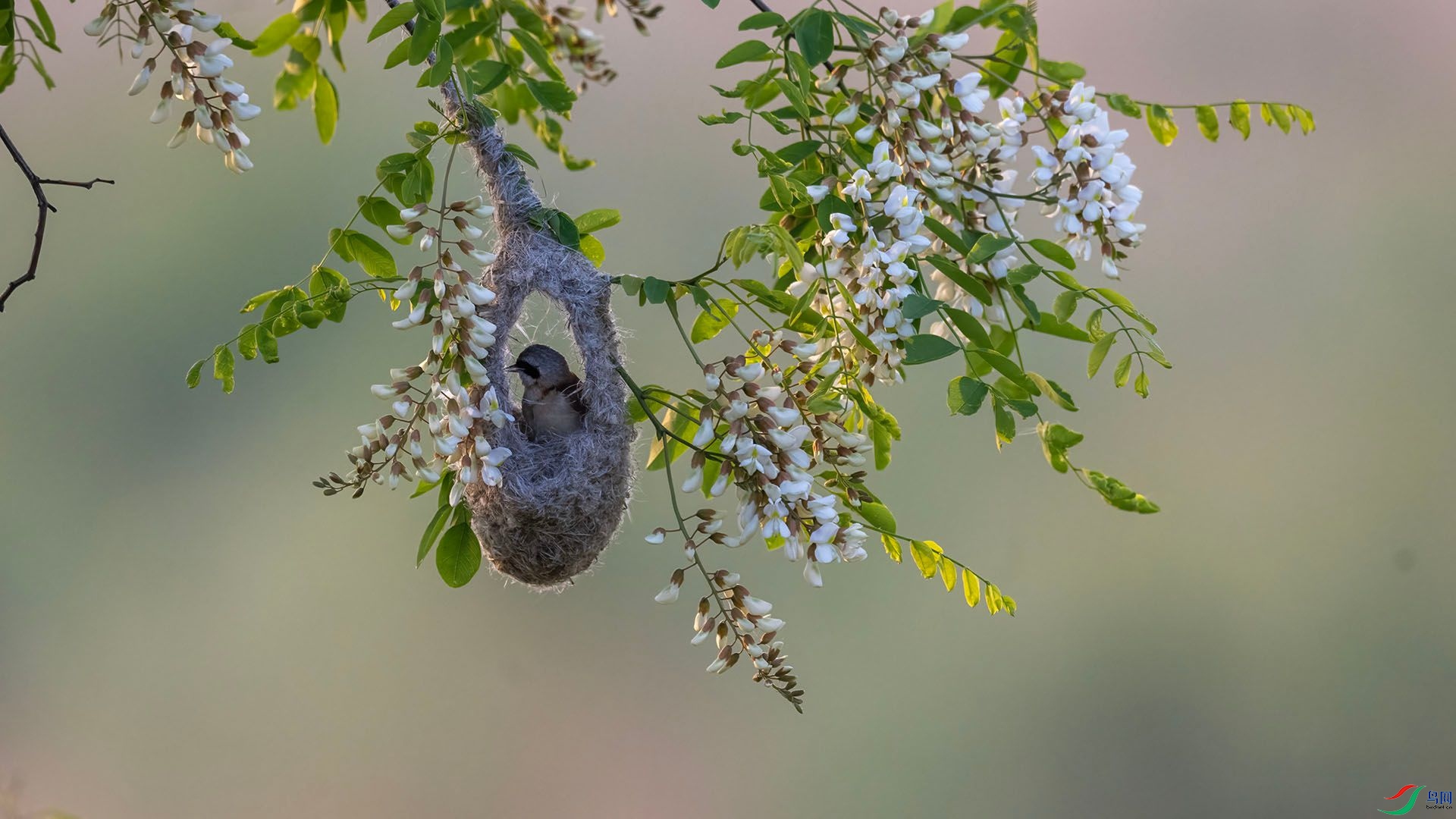 _DSC0419 ����.jpg