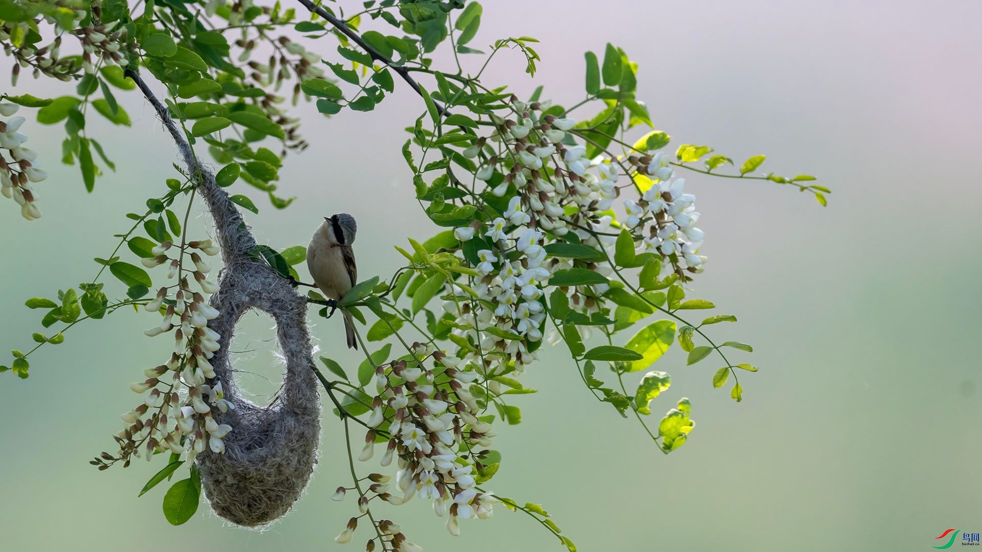 _DSC0834 ����.jpg