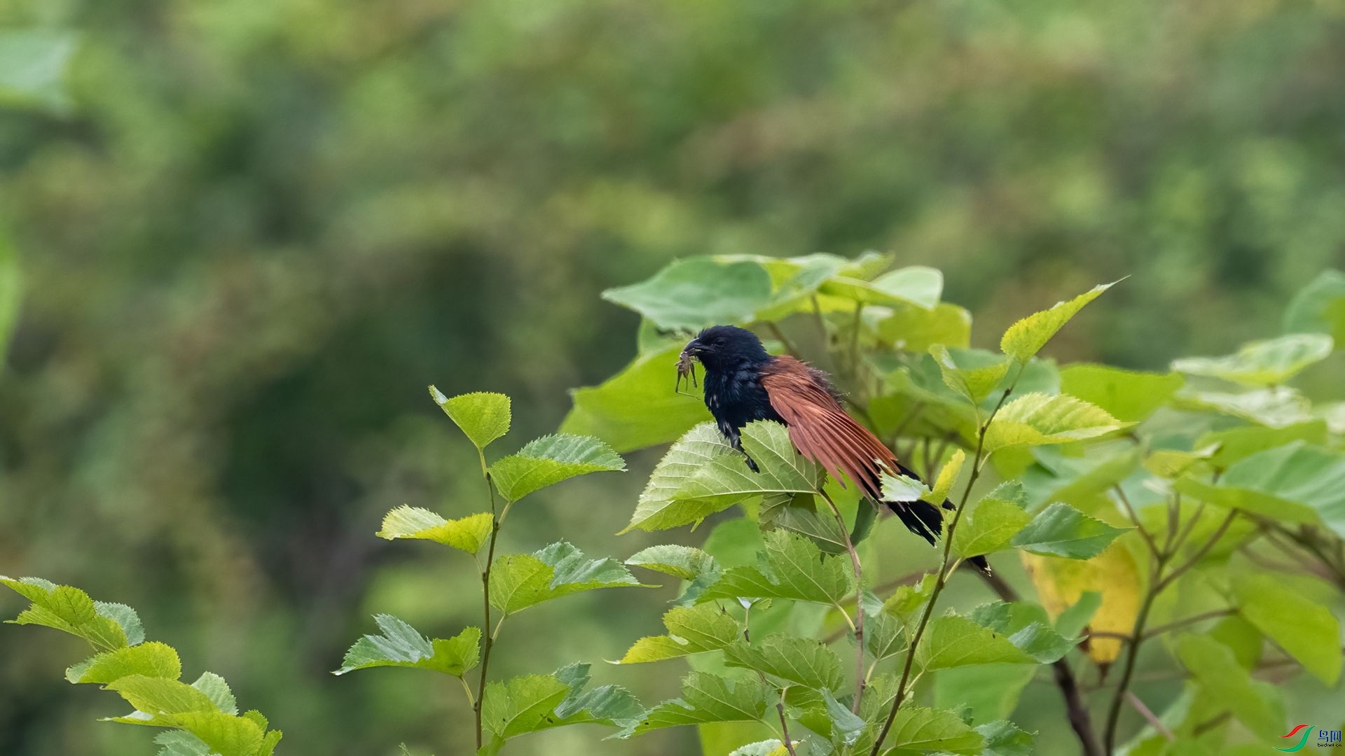 _DSC1517 ����.jpg