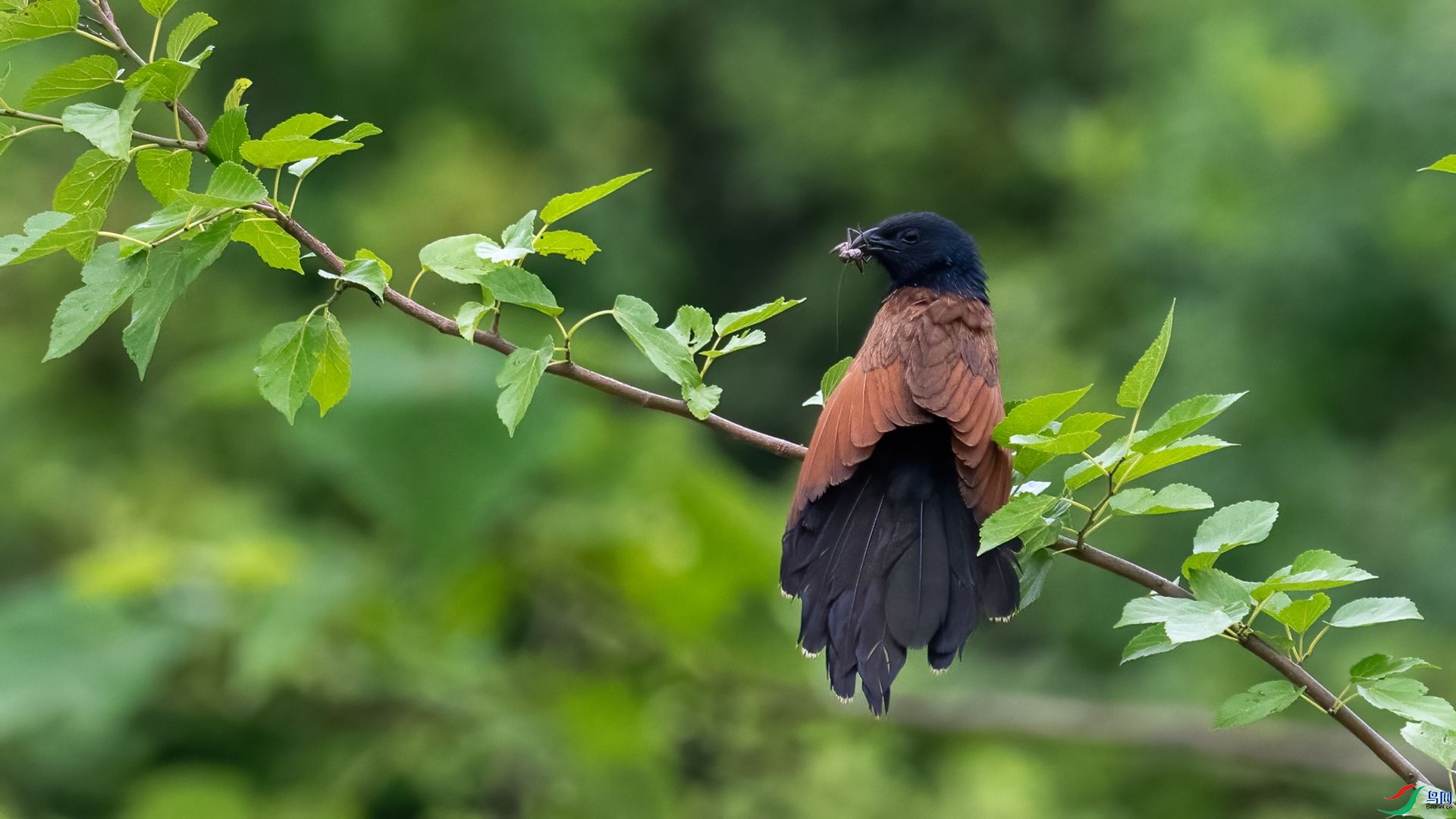 _DSC1602 ����.jpg