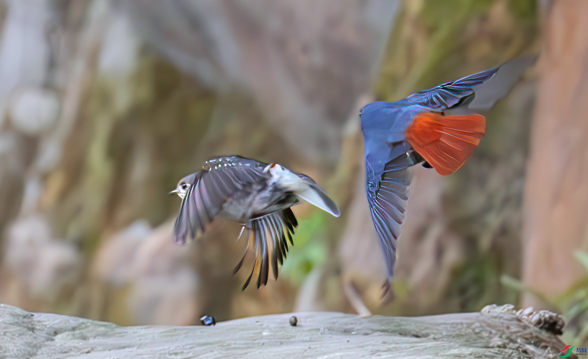 407A9756-----33  .jpg