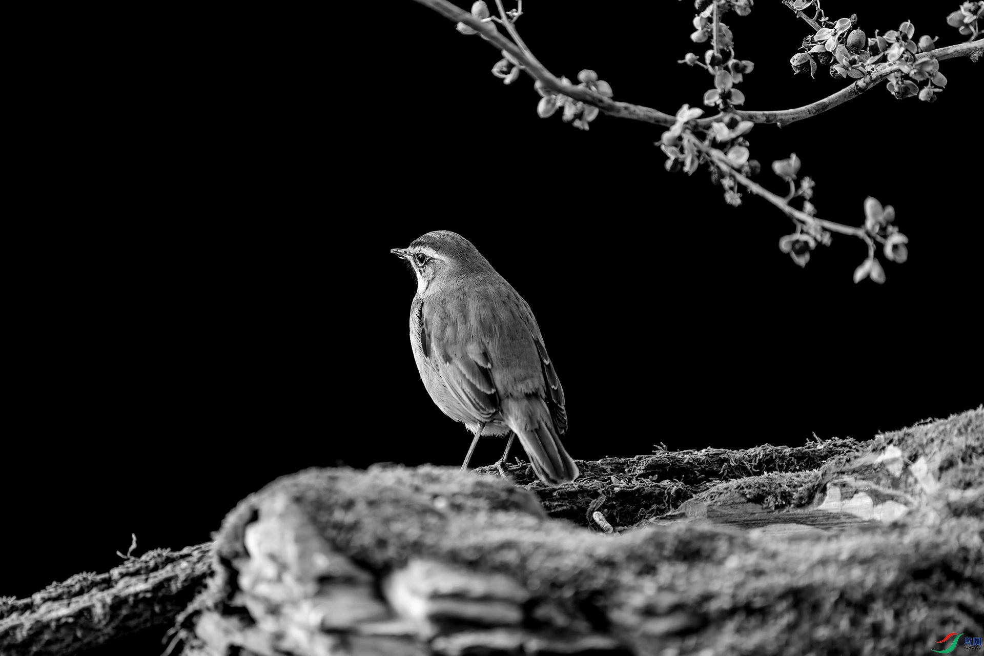 DSC00025 ����_����.jpg