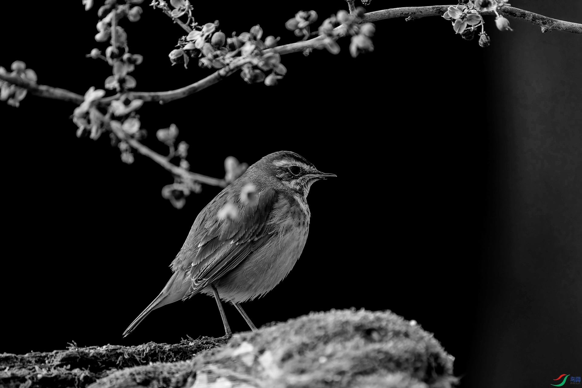 DSC00033 ����_����.jpg